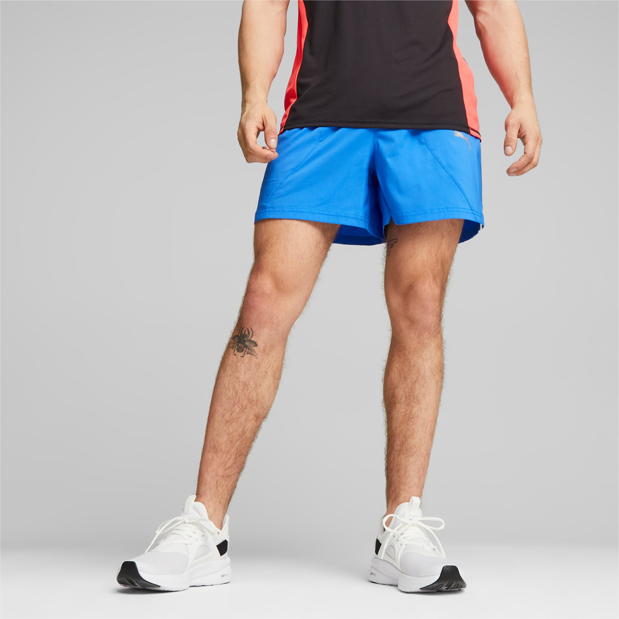 Puma shorts best sale mens blue