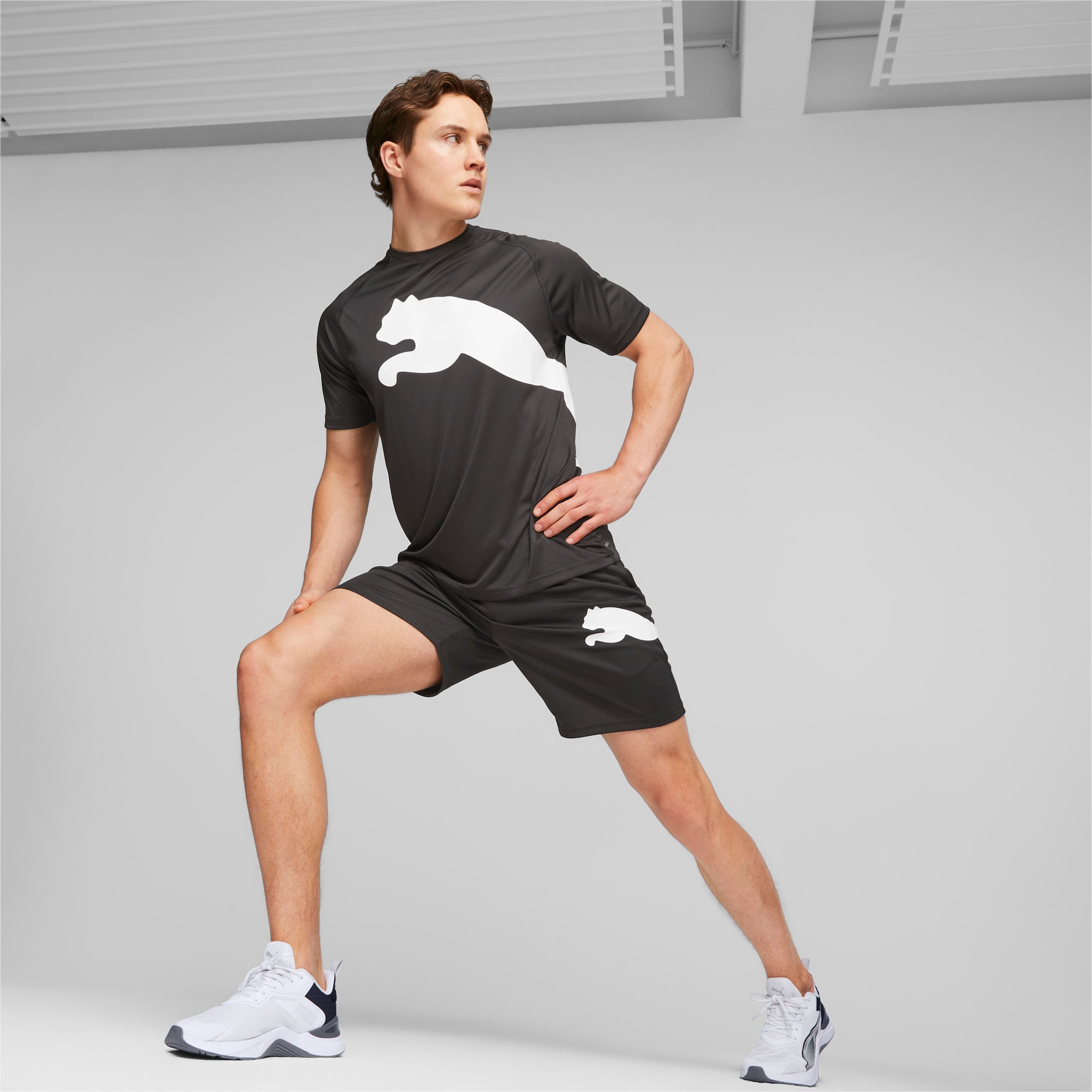 Bermuda puma sale big cat