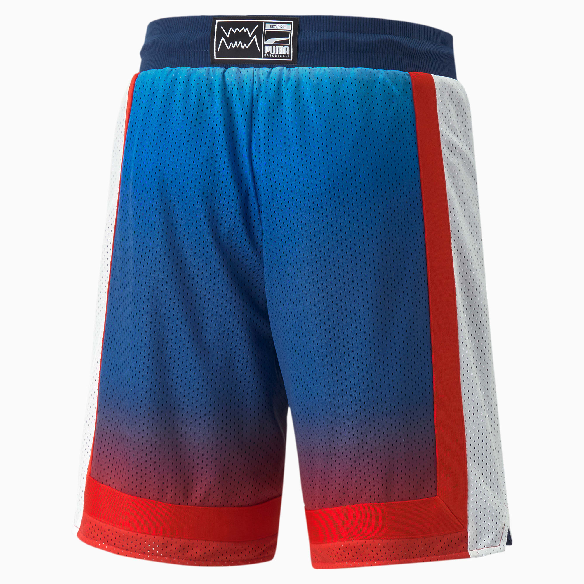 Puma bmw hot sale shorts 2016