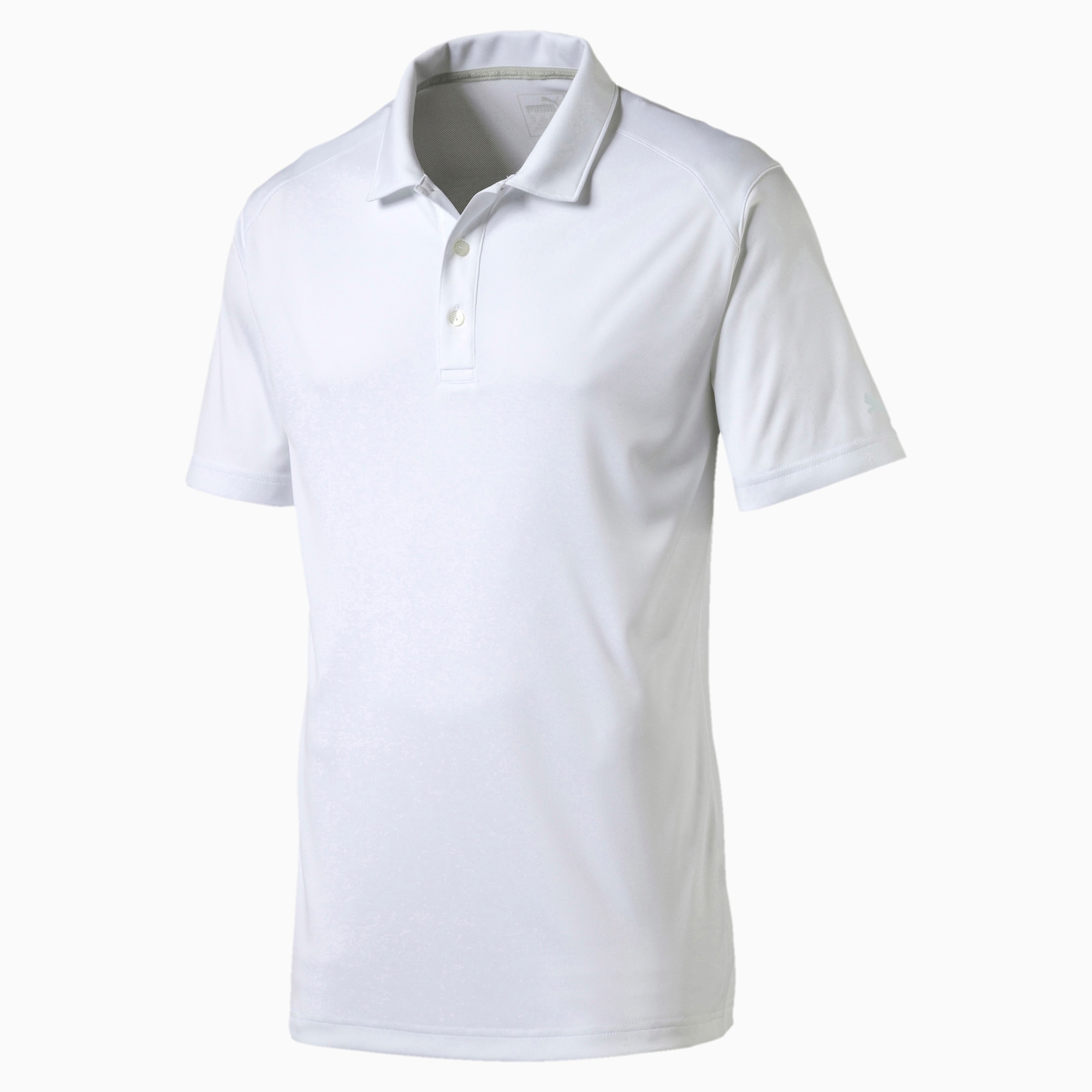 polo puma or