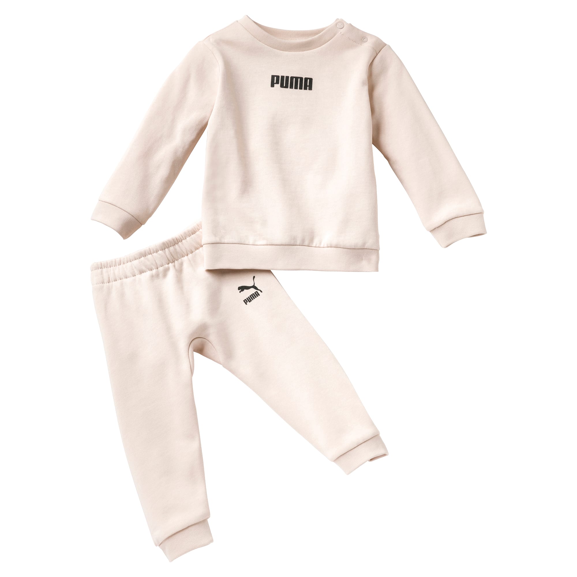 puma neonata