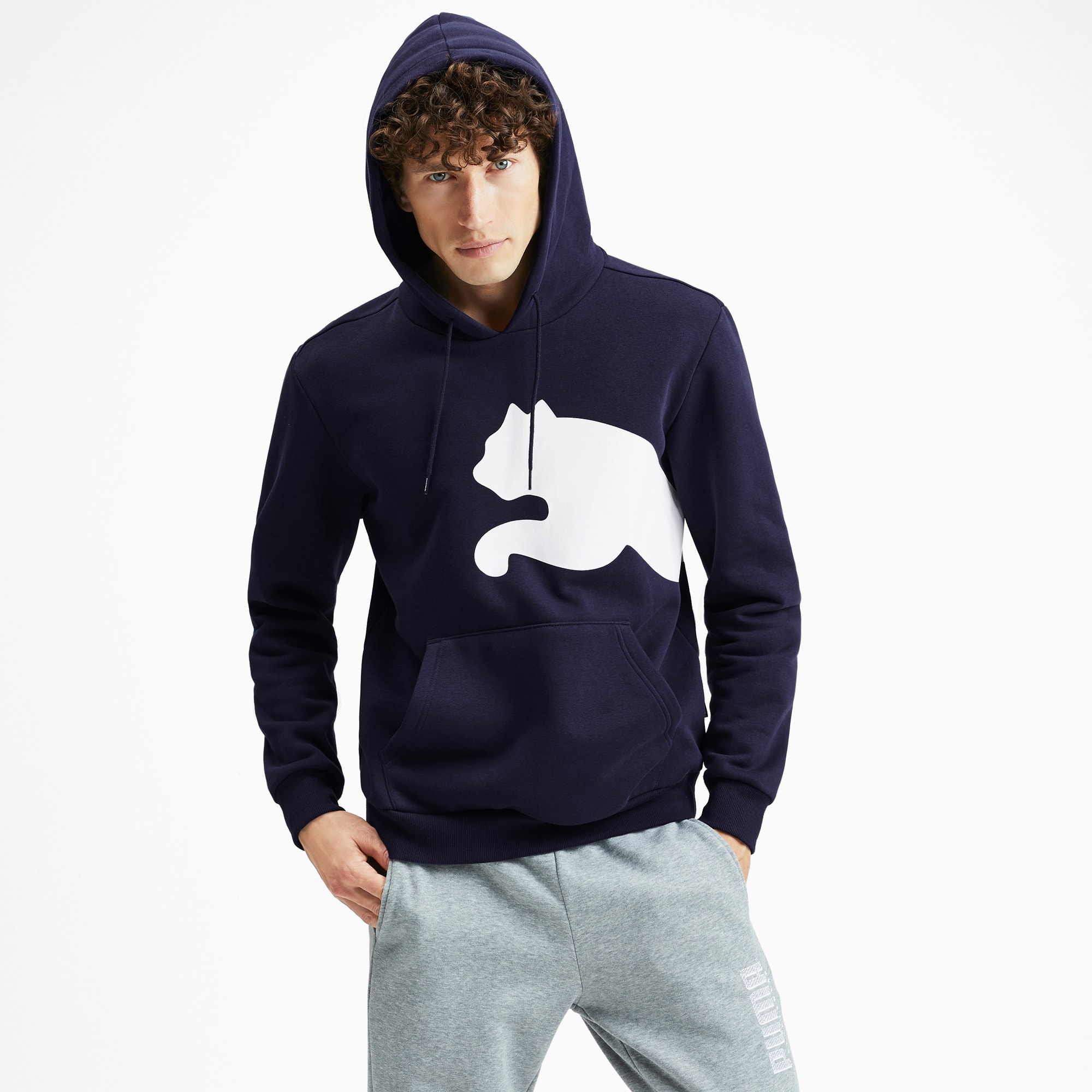 puma hoodie mens