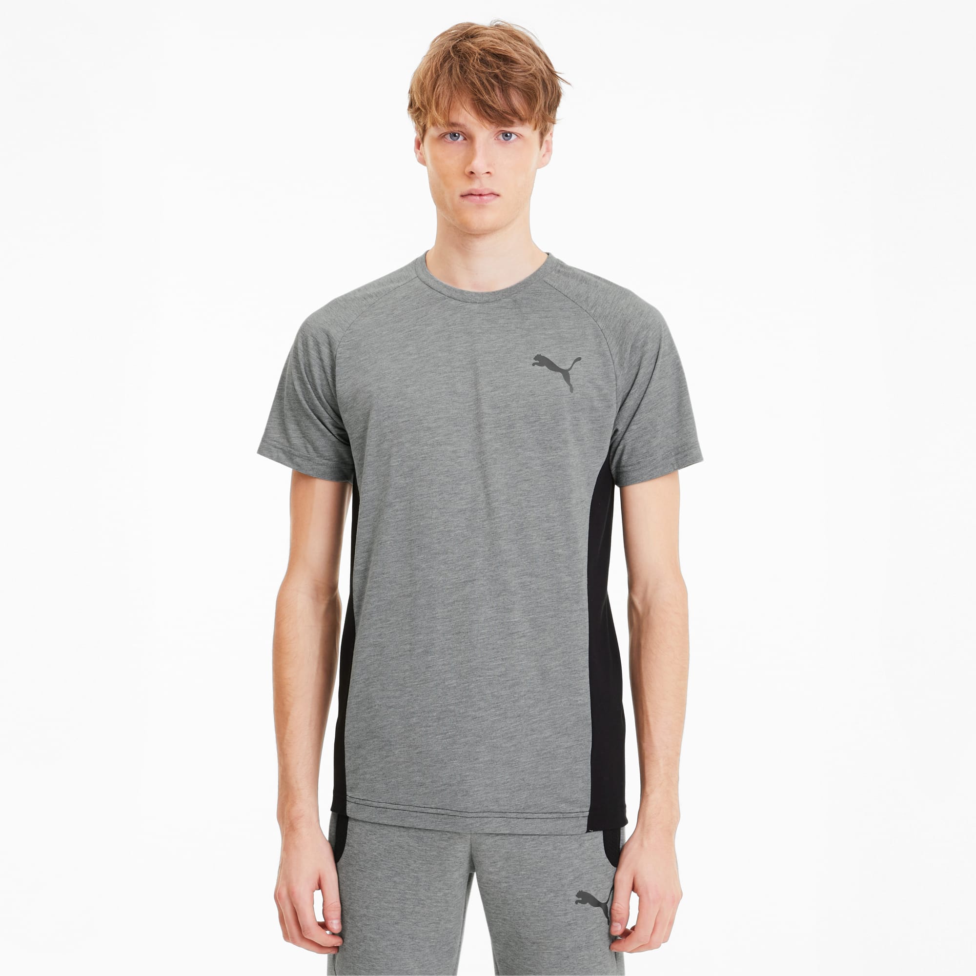 puma evostripe tee