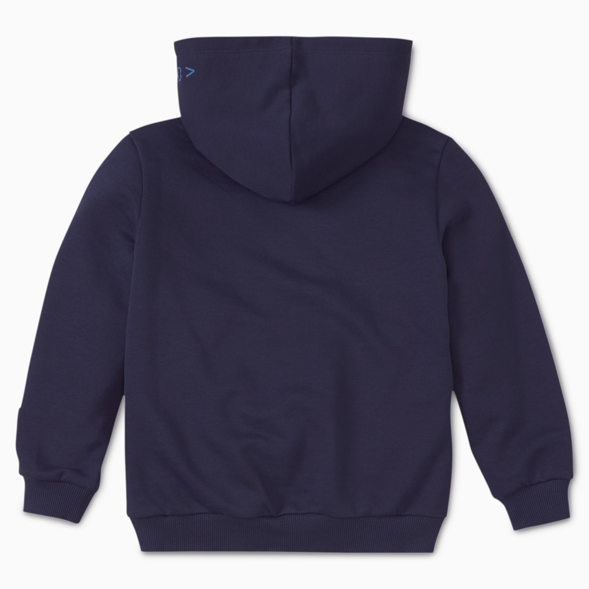 blue puma hoodie