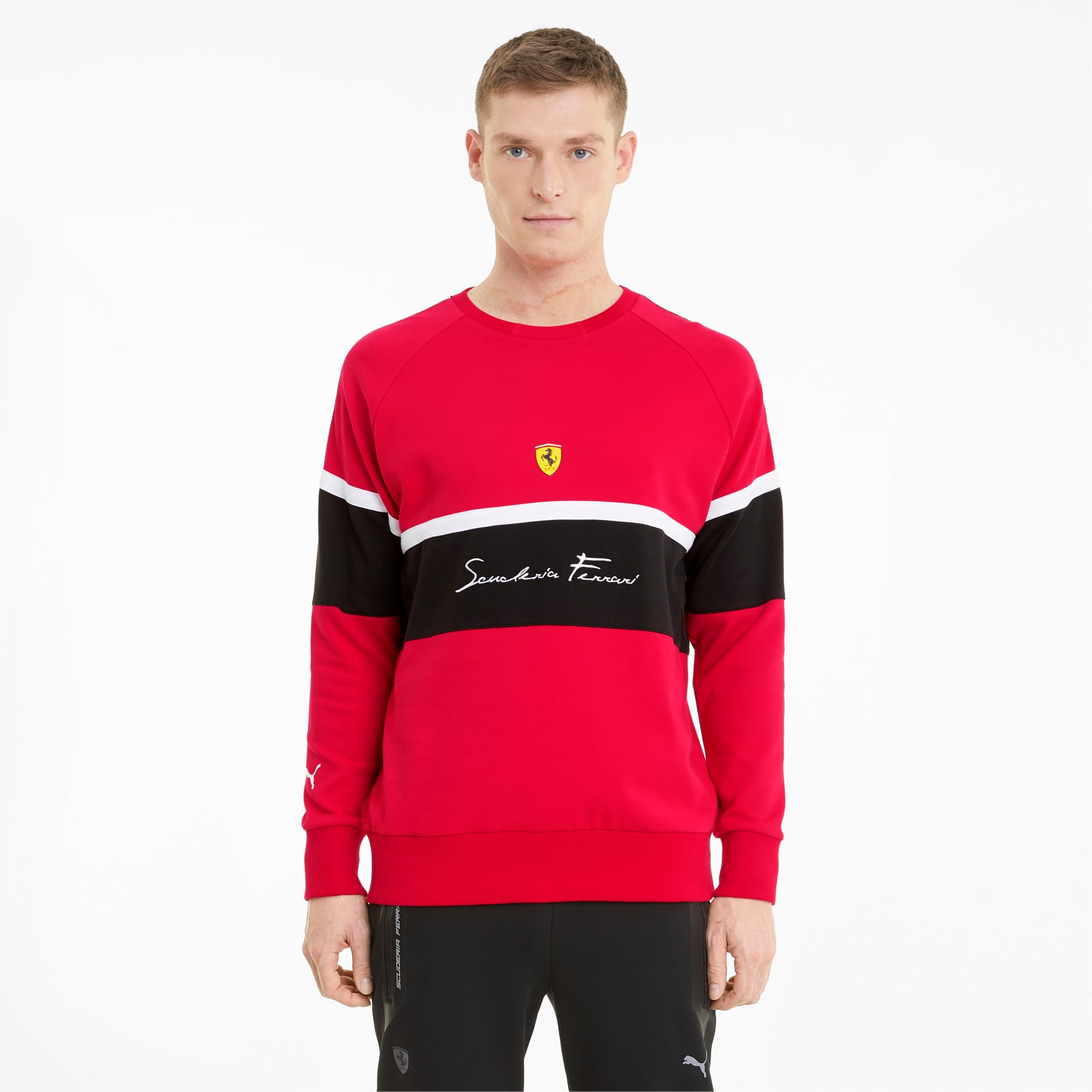 ferrari sweater mens