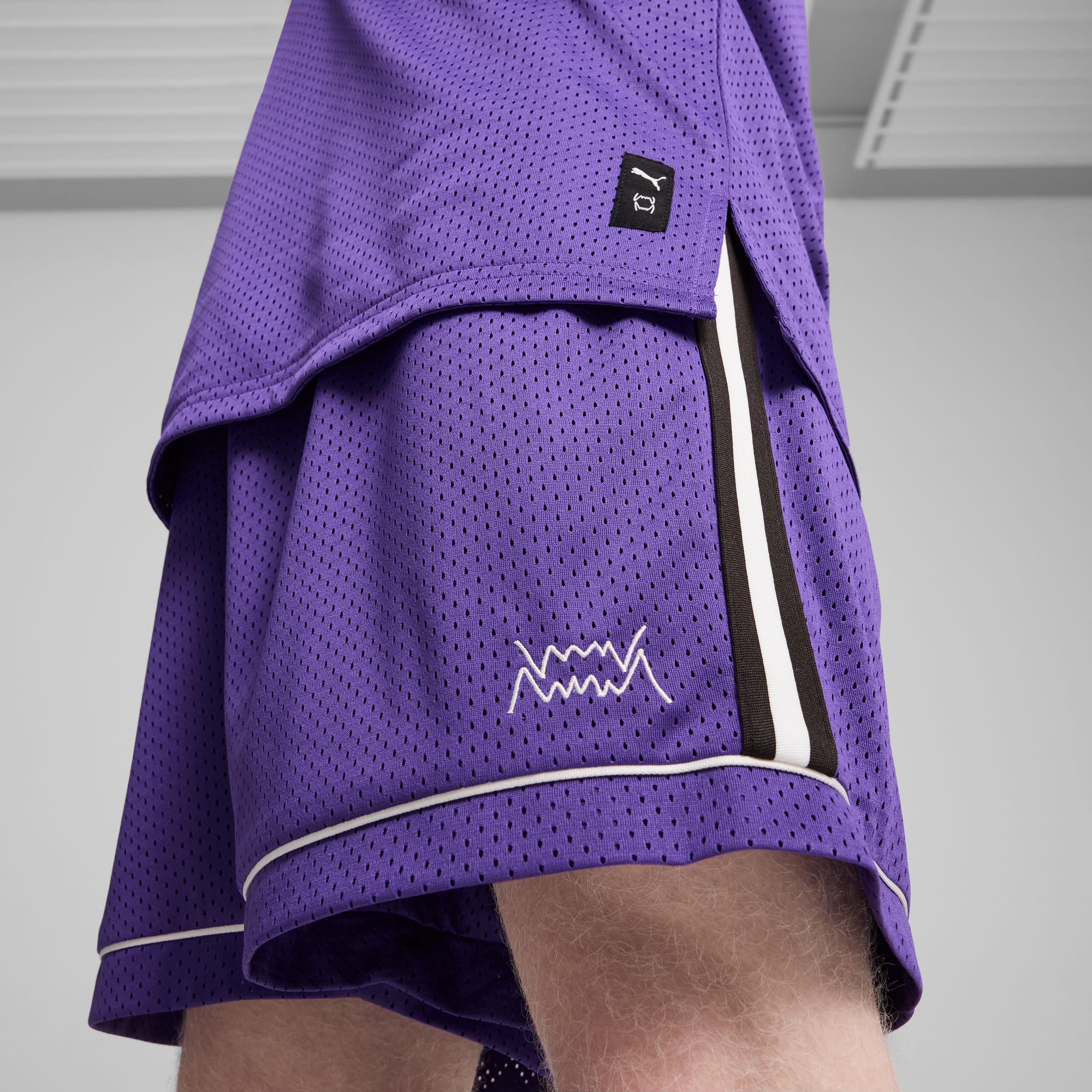 The Classics Basketballshorts, Team Violet, large