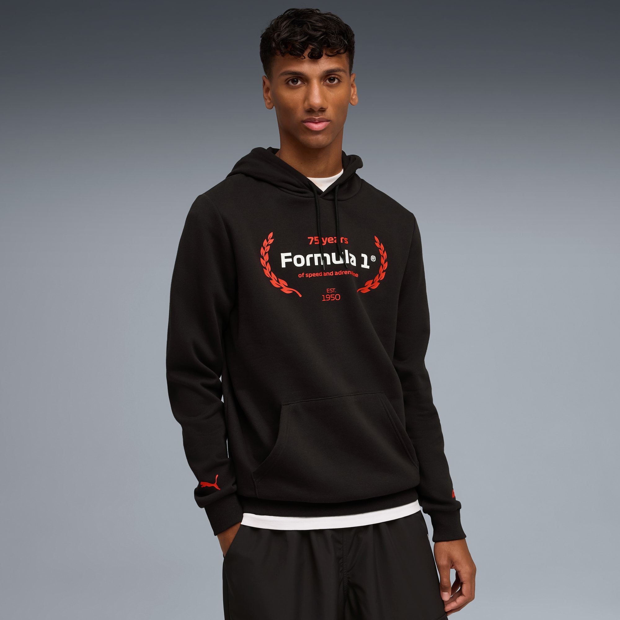 Hoodie à logo Essentials F1® Homme, PUMA Black, large