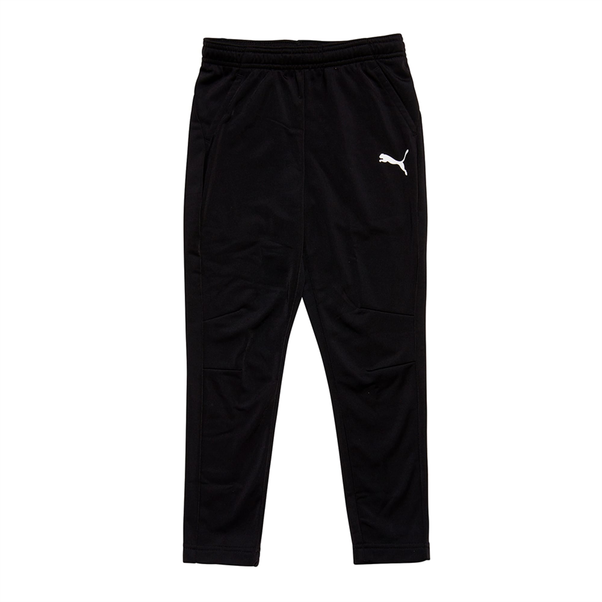 Puma liga best sale training pant core