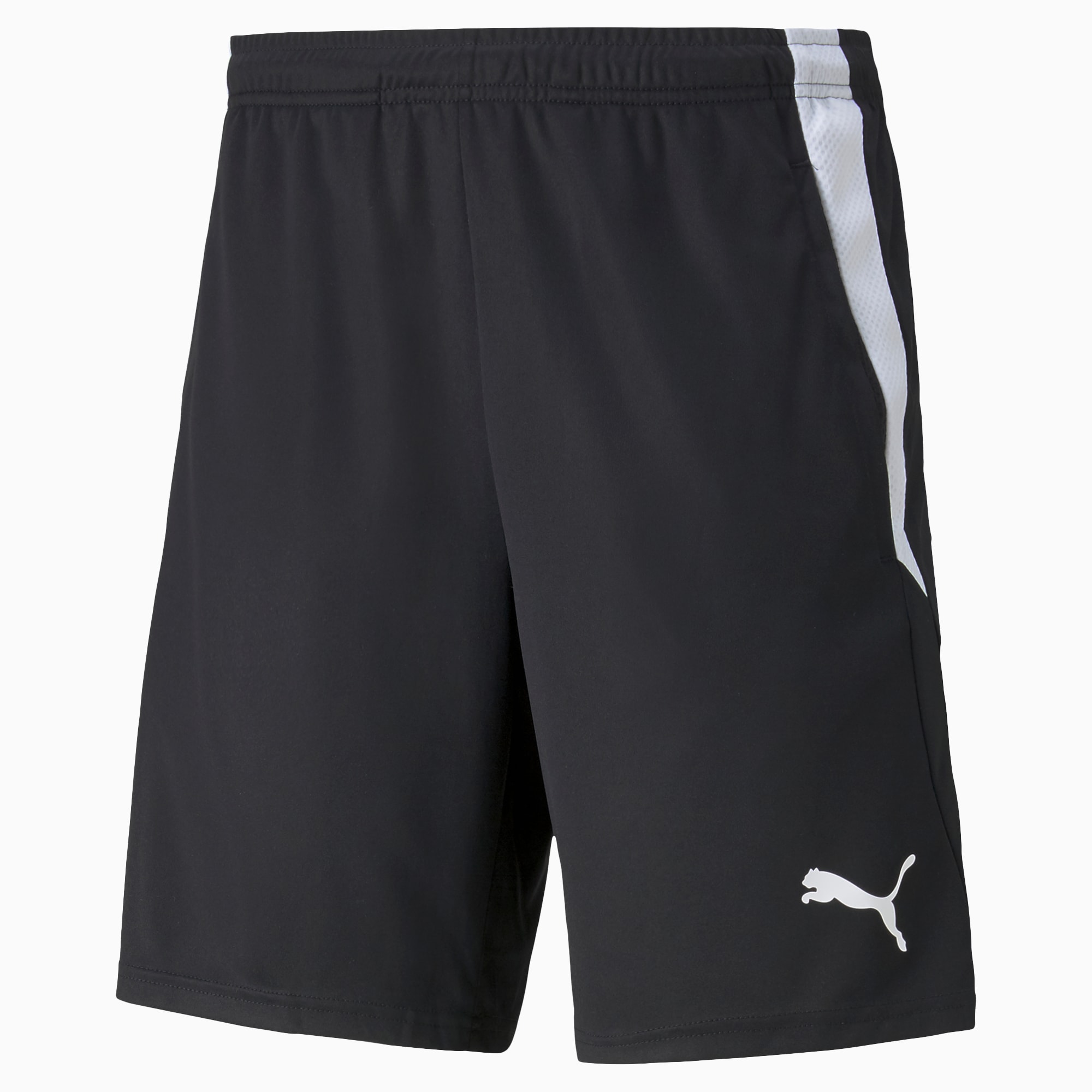 Puma liga training shorts on sale