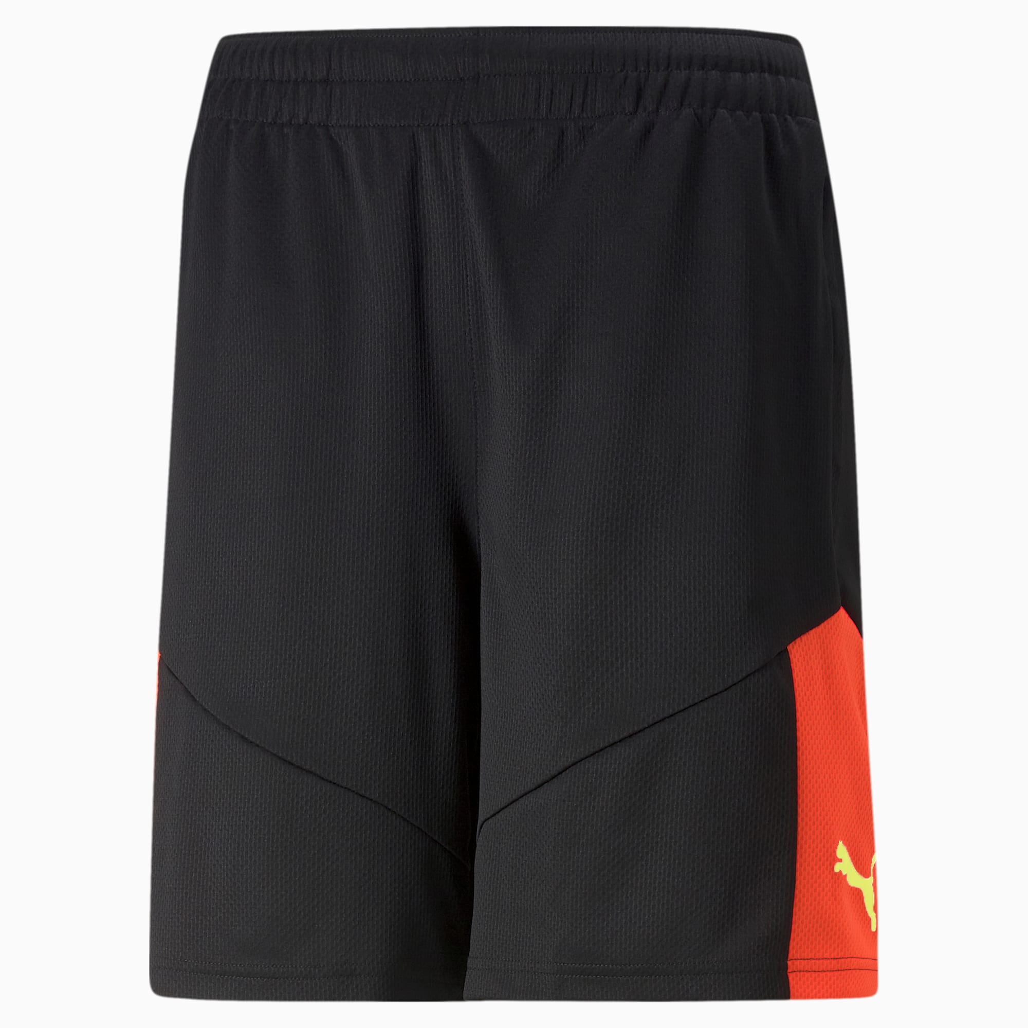 Puma football training shorts mens online
