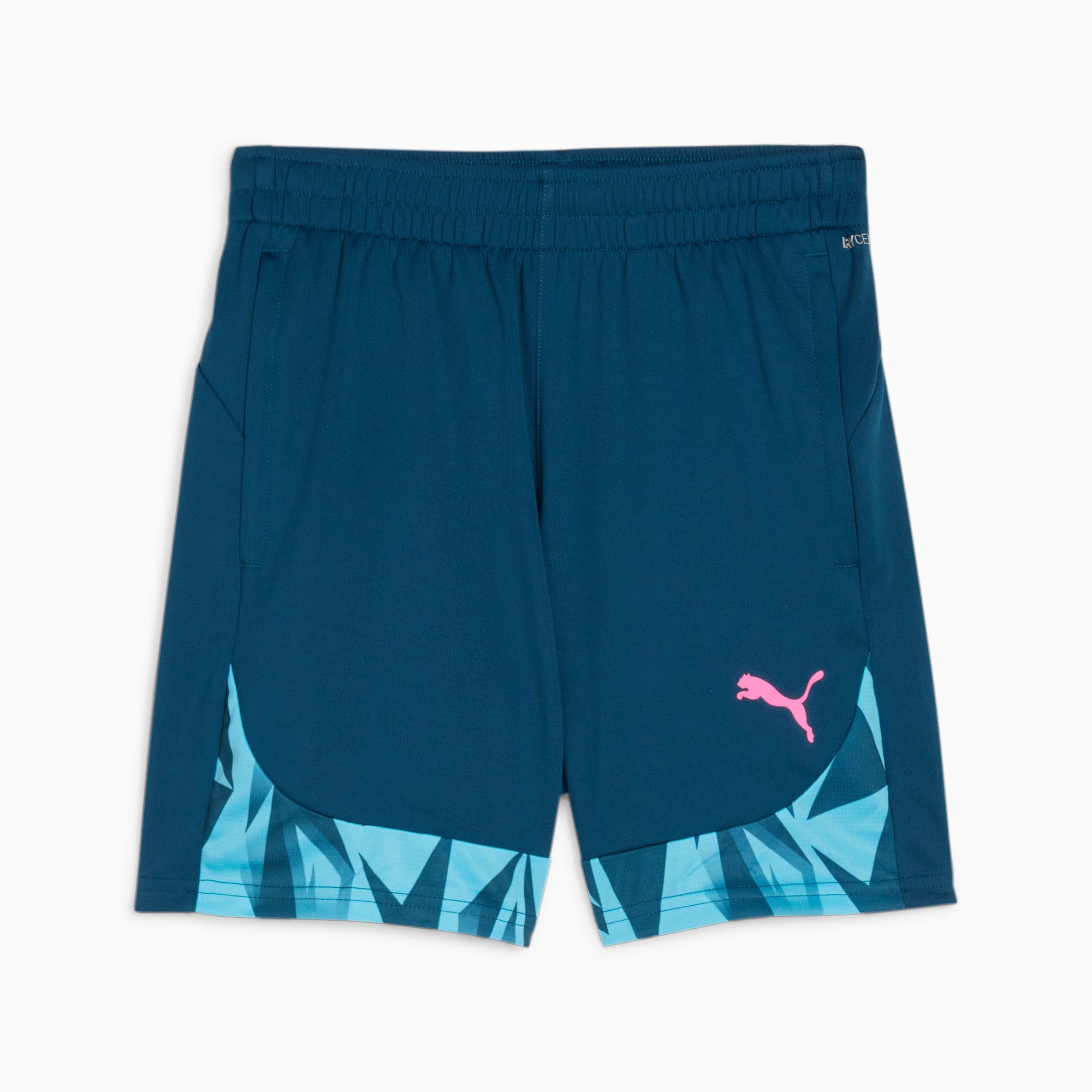 individualFINAL Youth Football Shorts blue PUMA