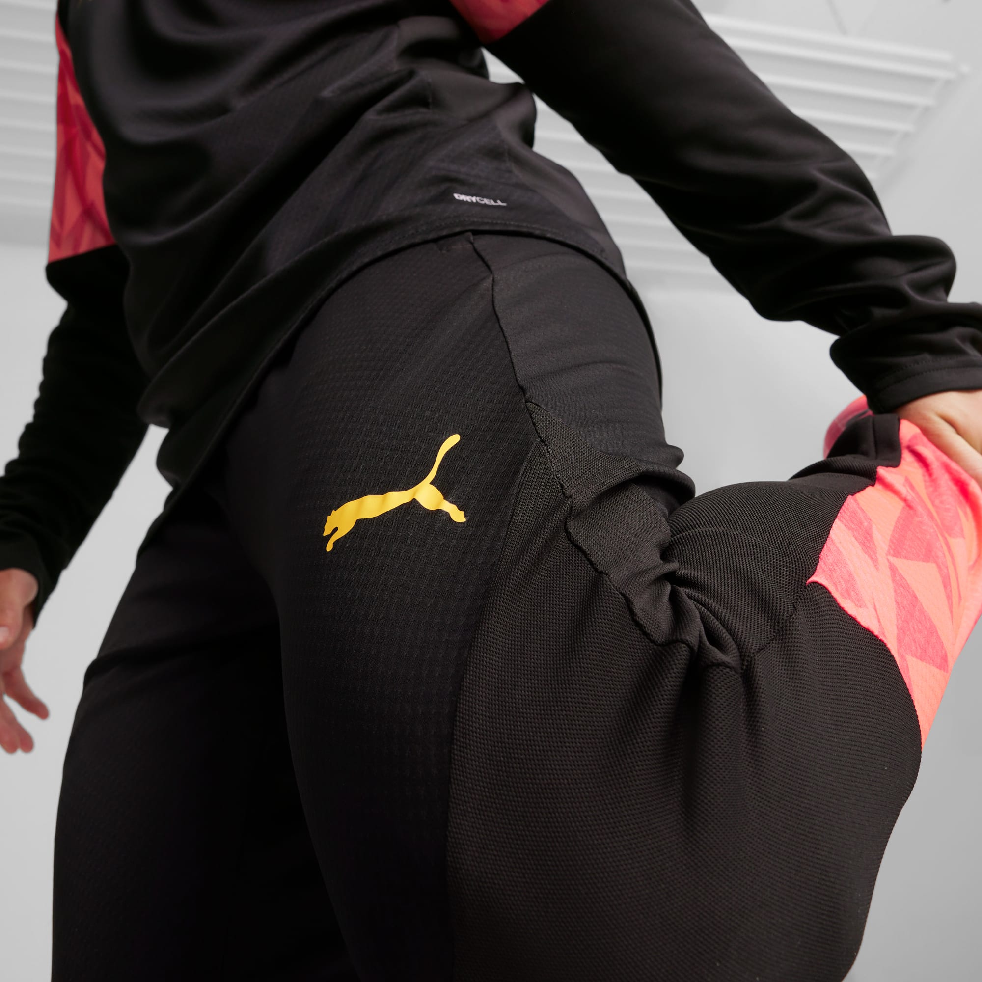 Puma evo training pants store