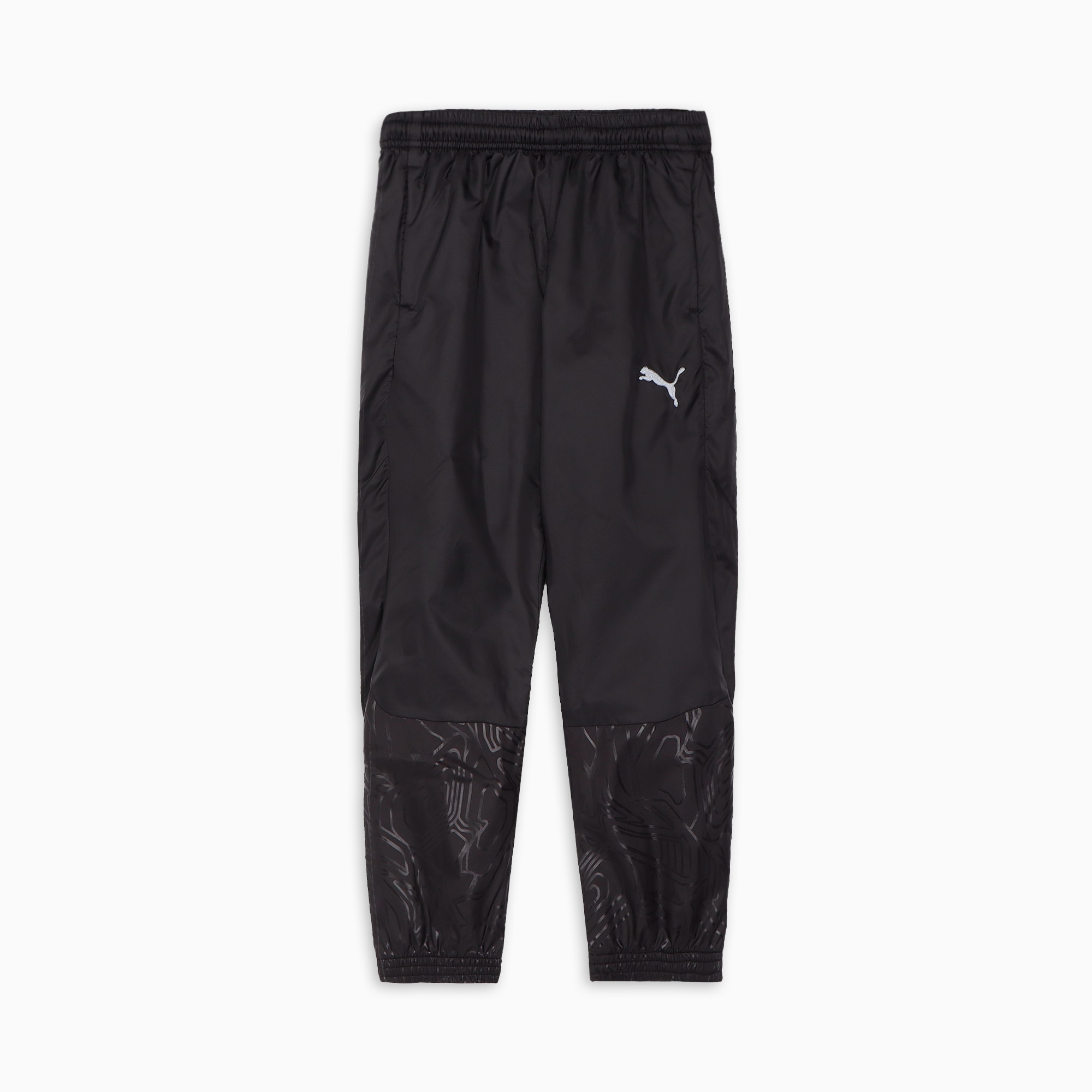 PUMA公式】キッズ ボーイズ サッカー チームファイナル