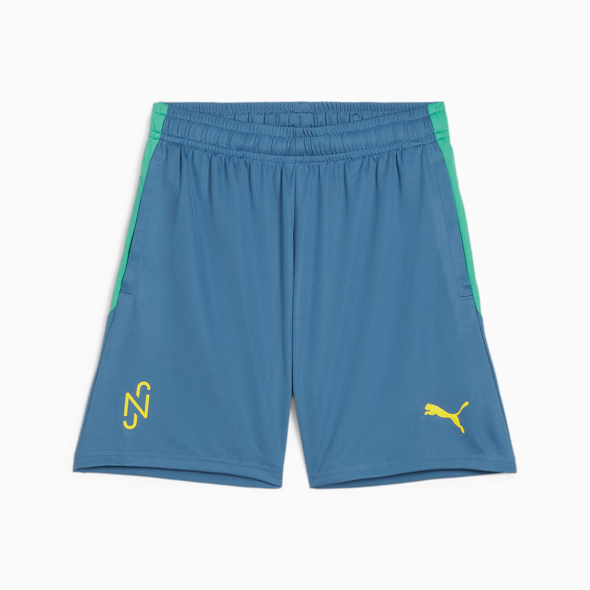 Puma pitch shorts hot sale