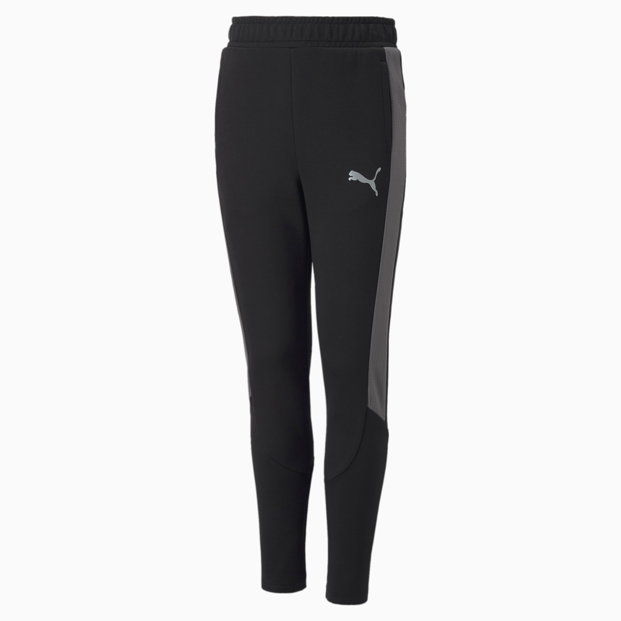 Puma training evostripe deals