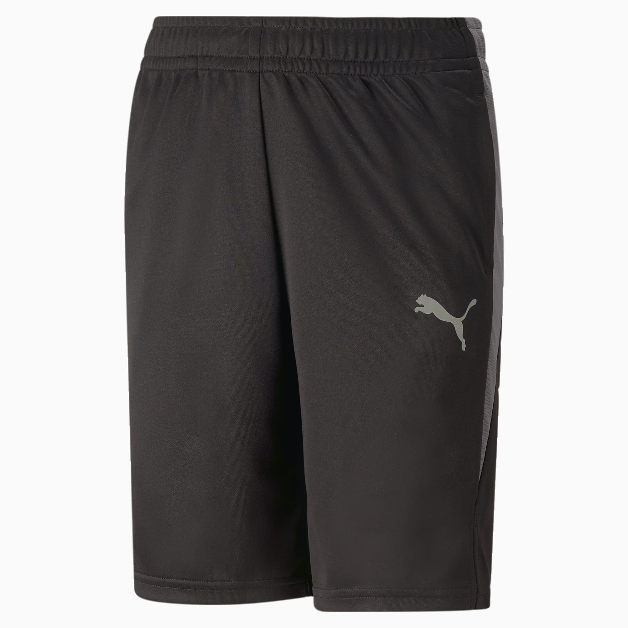 Puma liga shorts sales youth