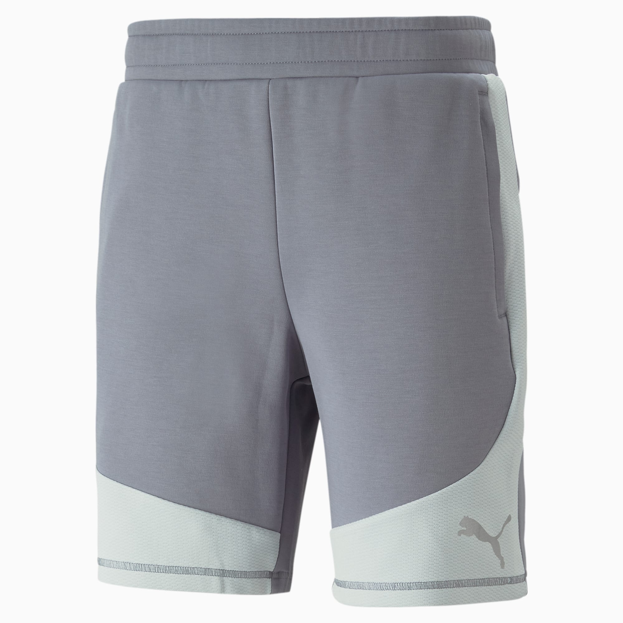 EVOSTRIPE Men s Shorts