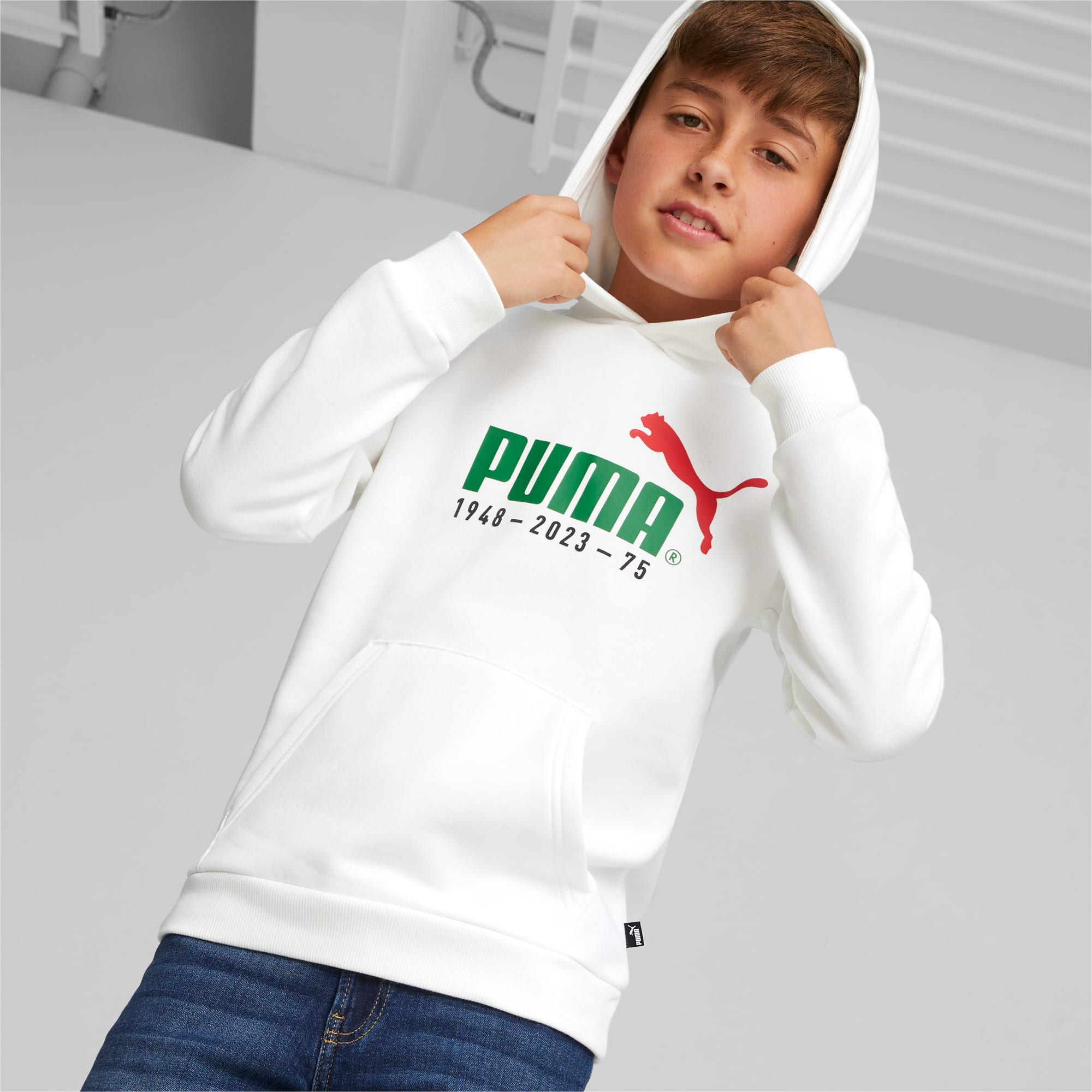 No.1 Logo Celebration Youth Hoodie PUMA