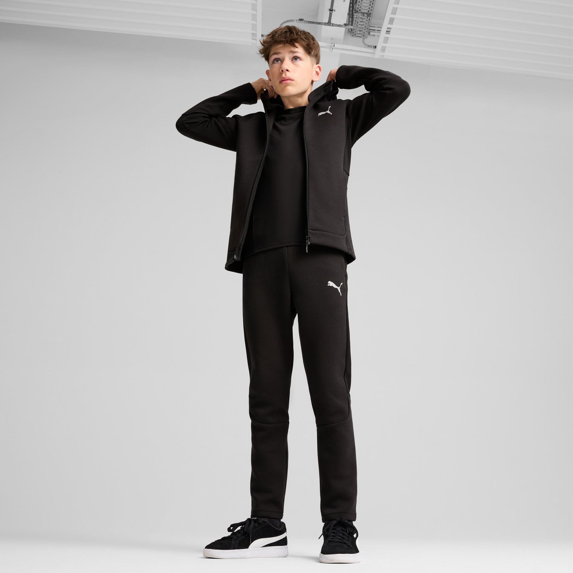 Puma evostripe full zip discount