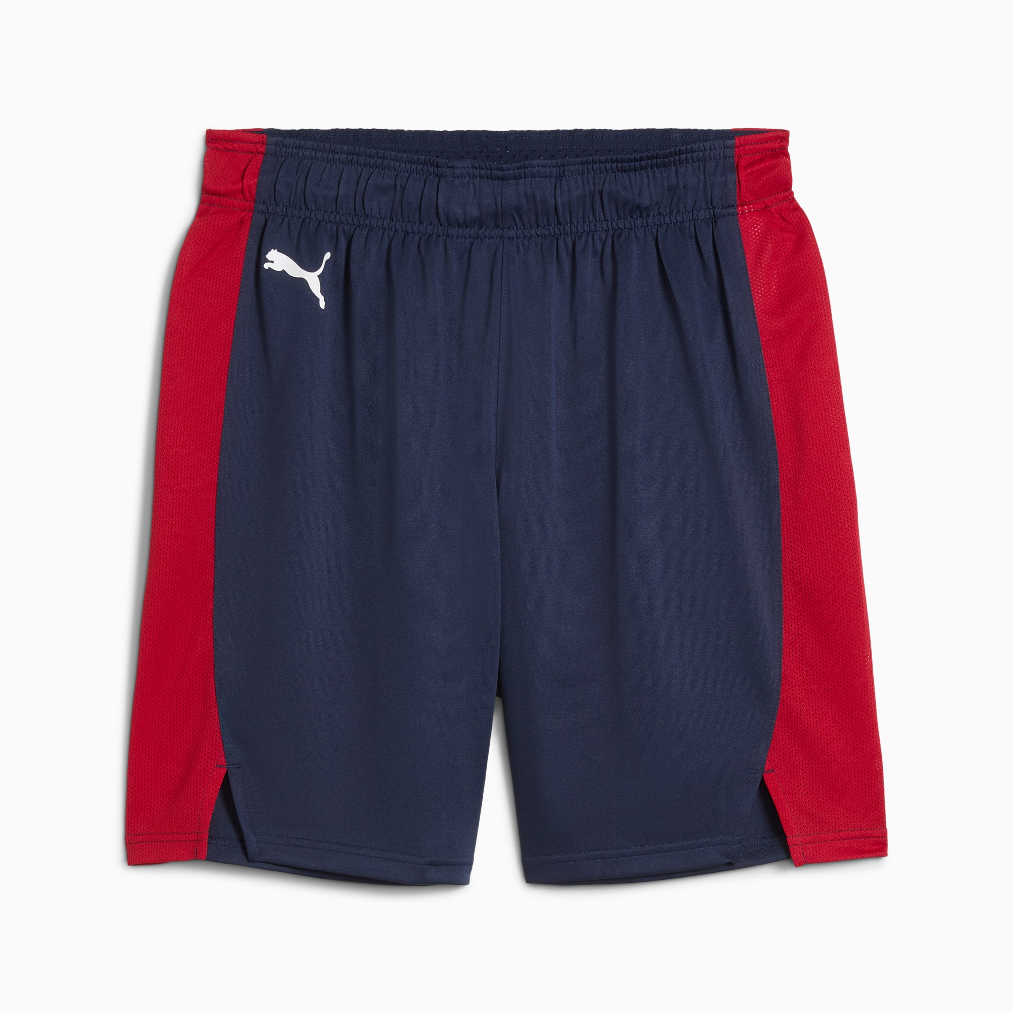 Saski Baskonia 24/25 Shorts Men, PUMA Navy, large