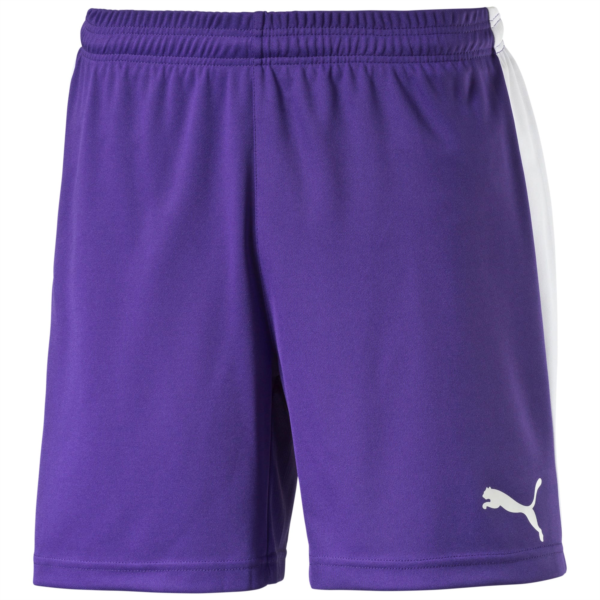 puma pitch shorts