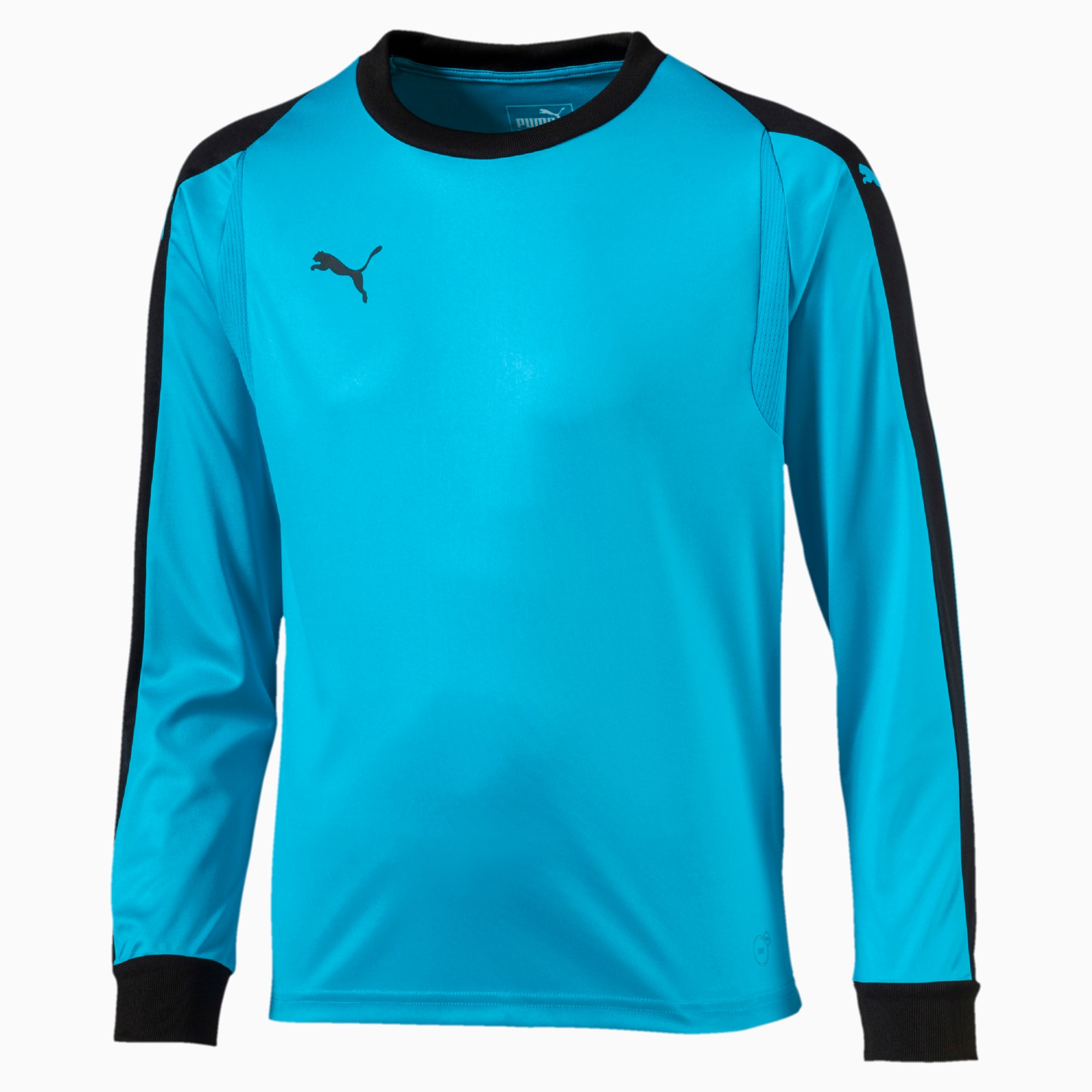 puma goalkeeper jersey