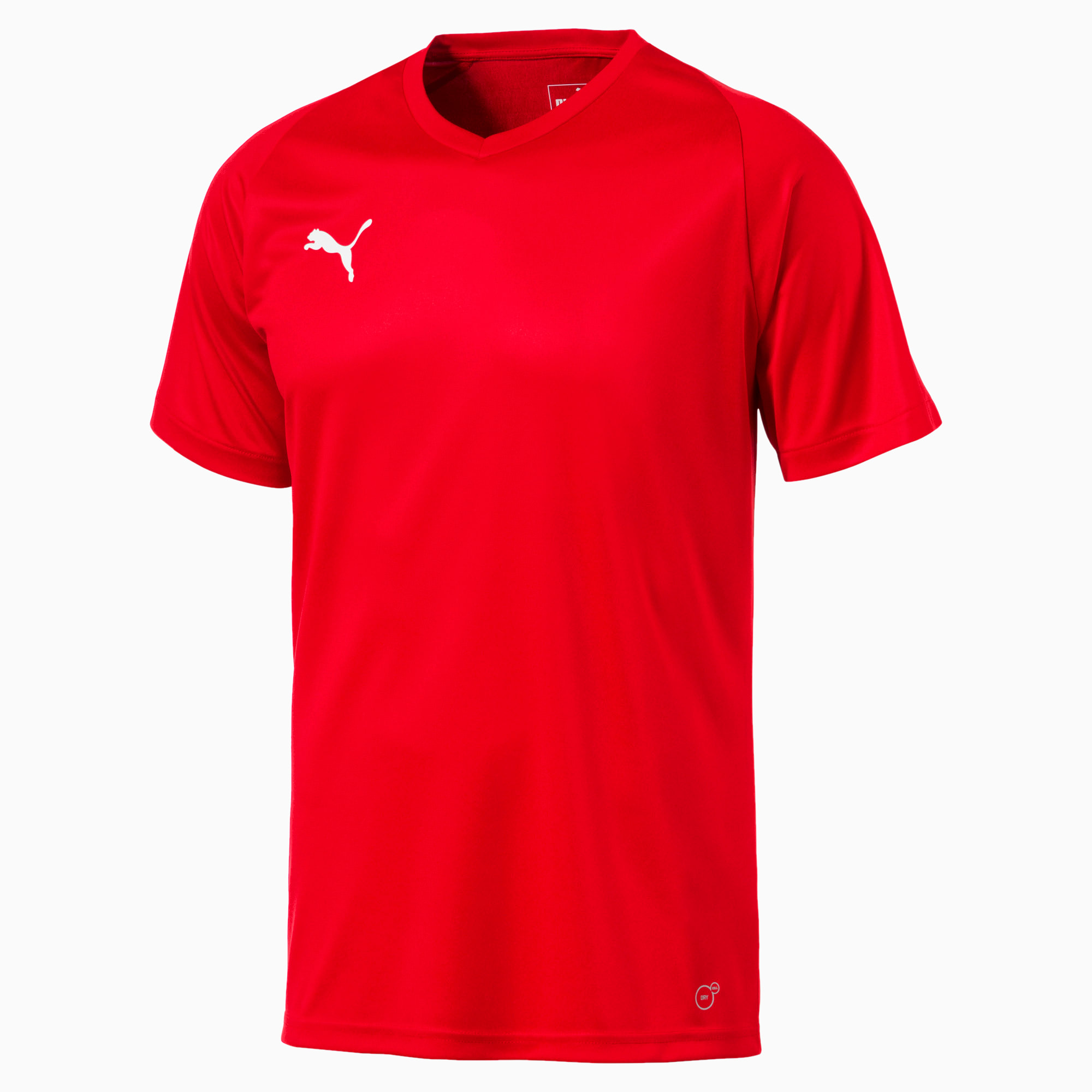 PUMA Men's LIGA Core Jersey