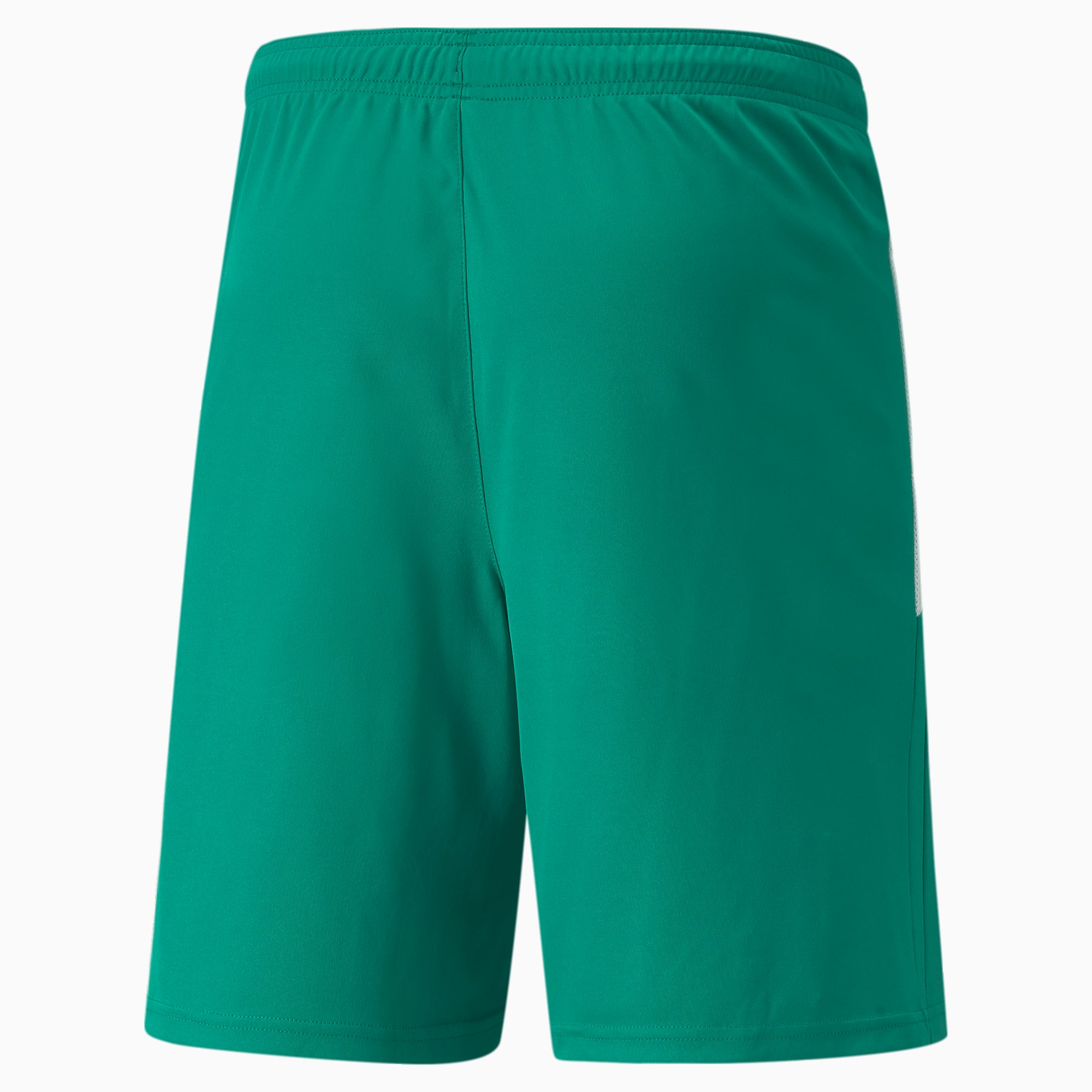 teamLIGA-Men's-Soccer-Shorts