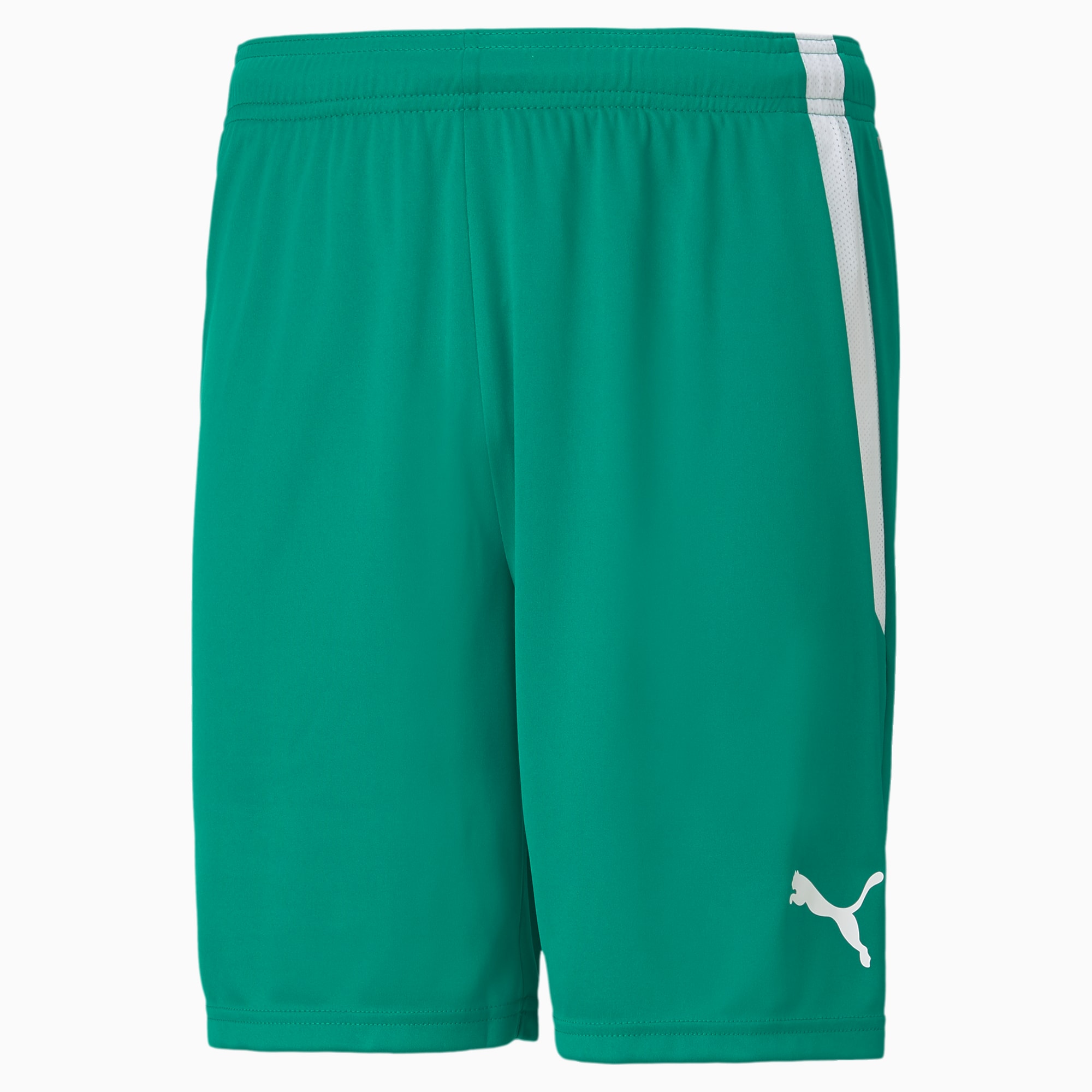 パネライ 希少 teamLIGA PUMA | Shorts Soccer Men's Clothing
