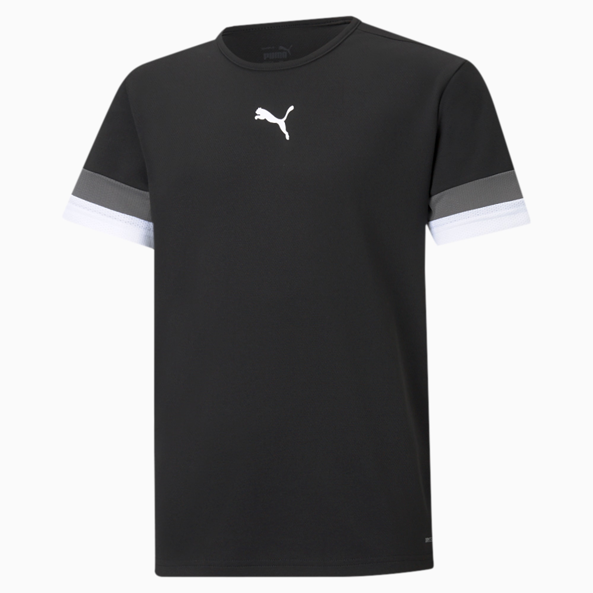 teamRISE voetbalshirt voor jongeren gray PUMA