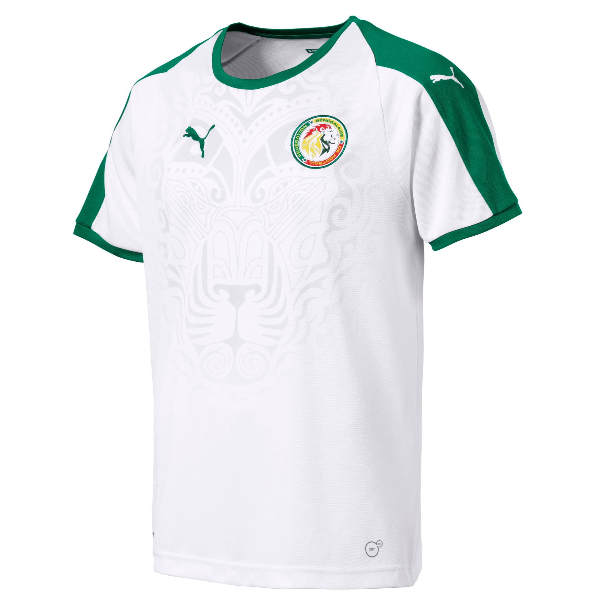 senegal soccer jersey