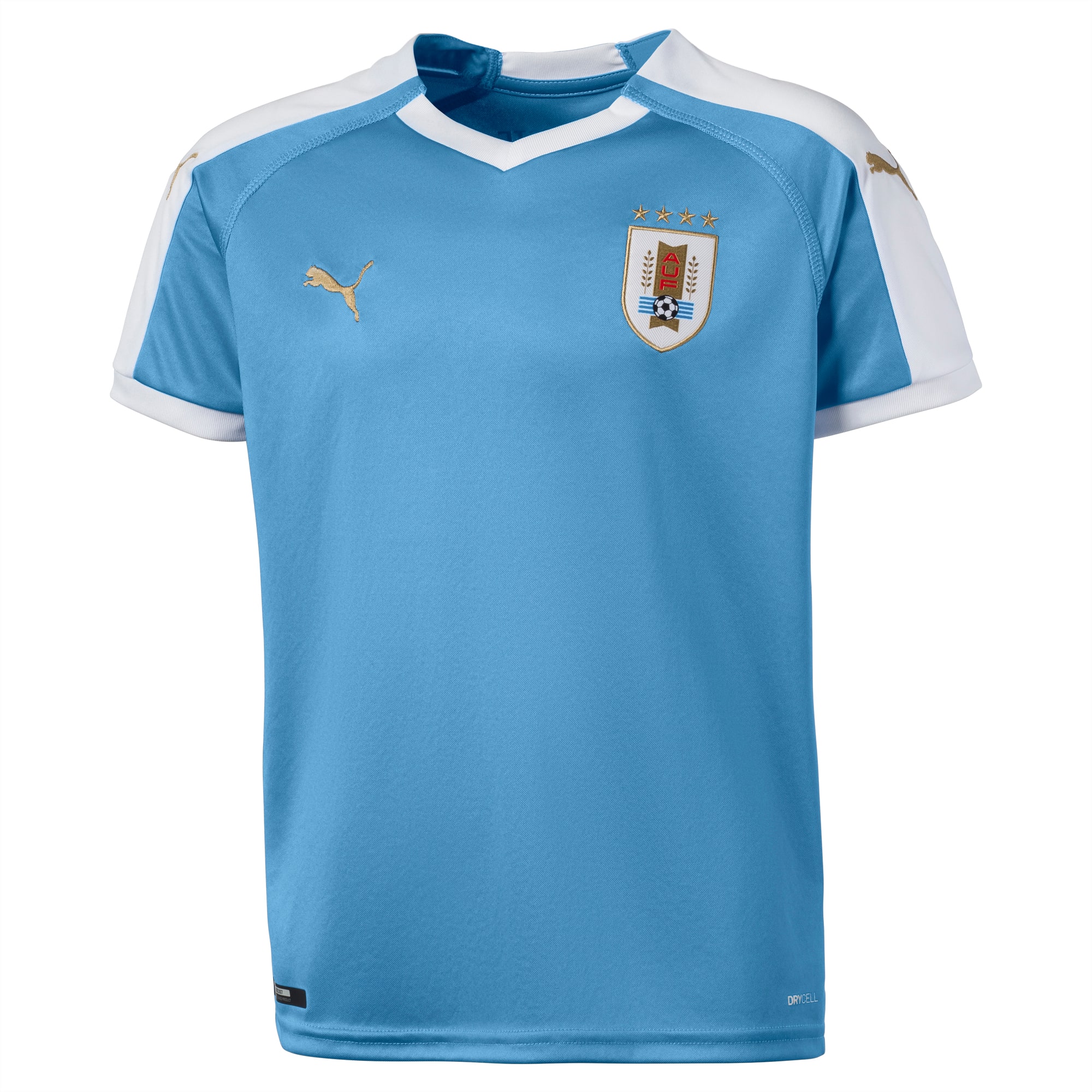 puma uruguay jersey
