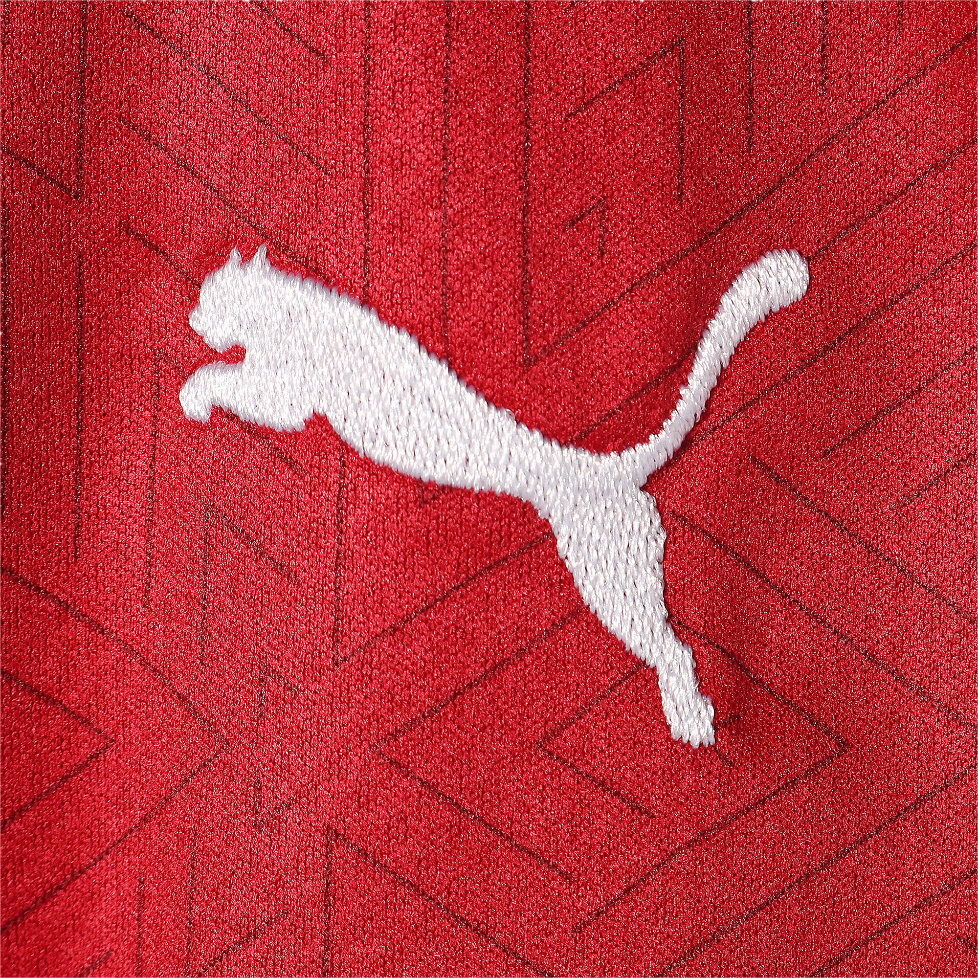 Puma公式 チェコ Facr Ss ホーム レプリカシャツ 半袖 ユニフォーム サッカー メンズ Chili Pepper Peacoat プーマ チェコ プーマ