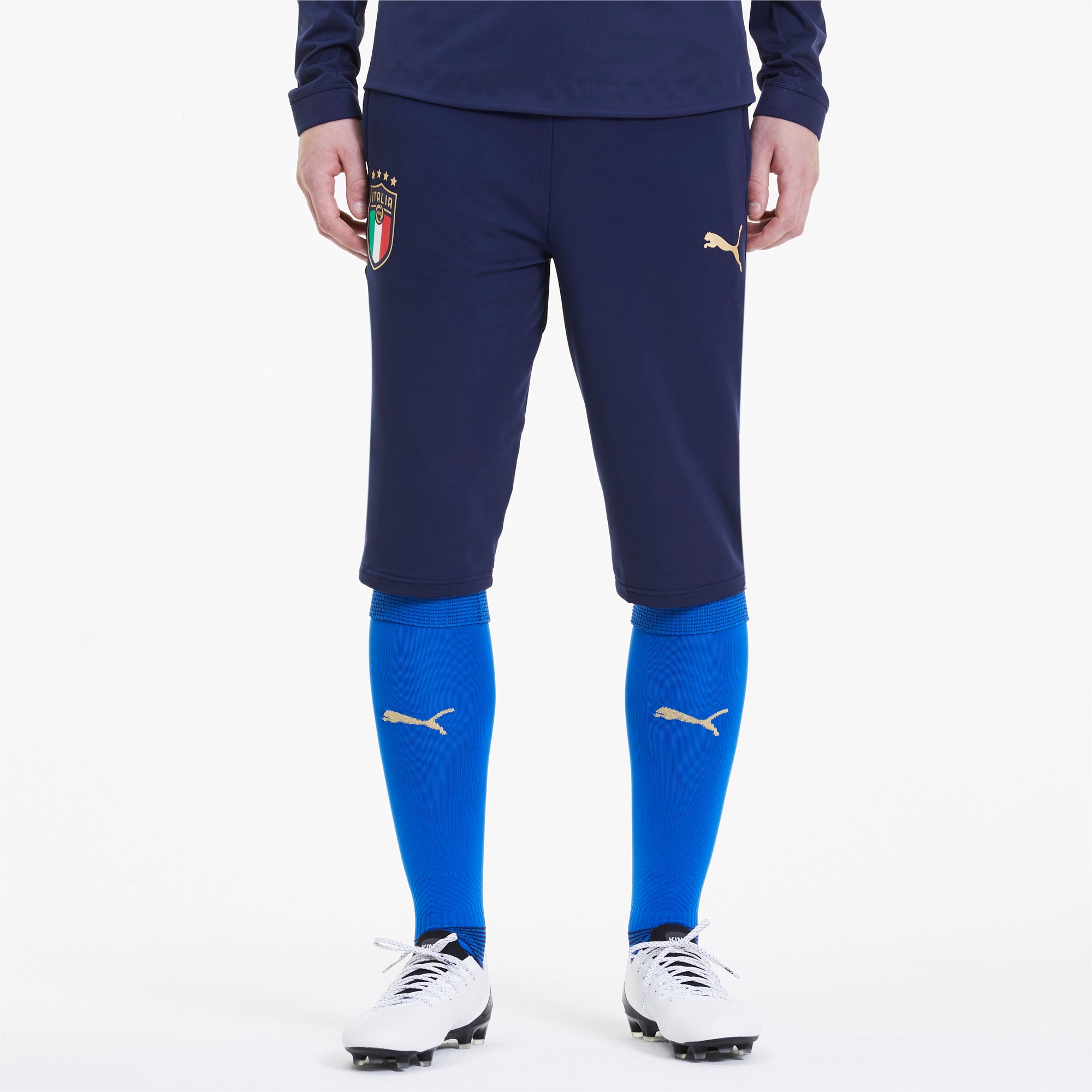 Puma公式 Figc トレーニング 3 4 パンツ