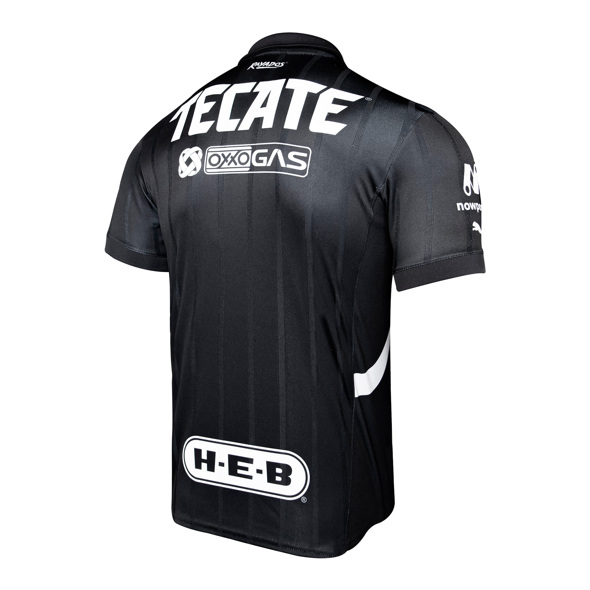 C.F. Monterrey '25 Alternative Replica Men's Soccer Jersey