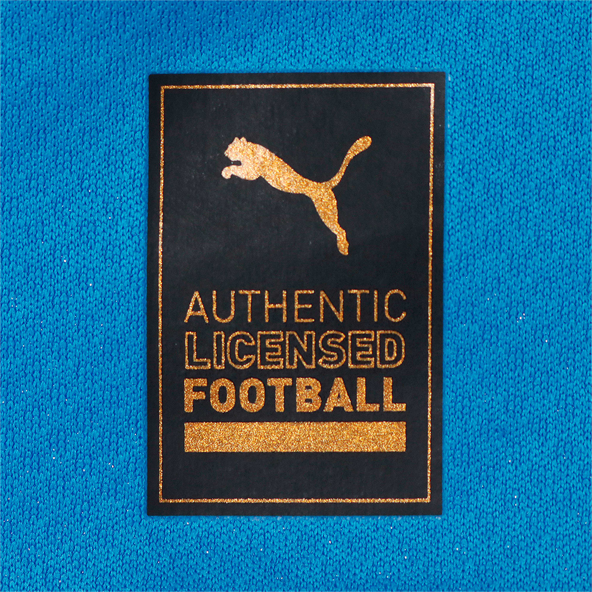 市場 プーマ FIGC サッカー PUMA COACH トレーニング シャツ 半袖 イタリア