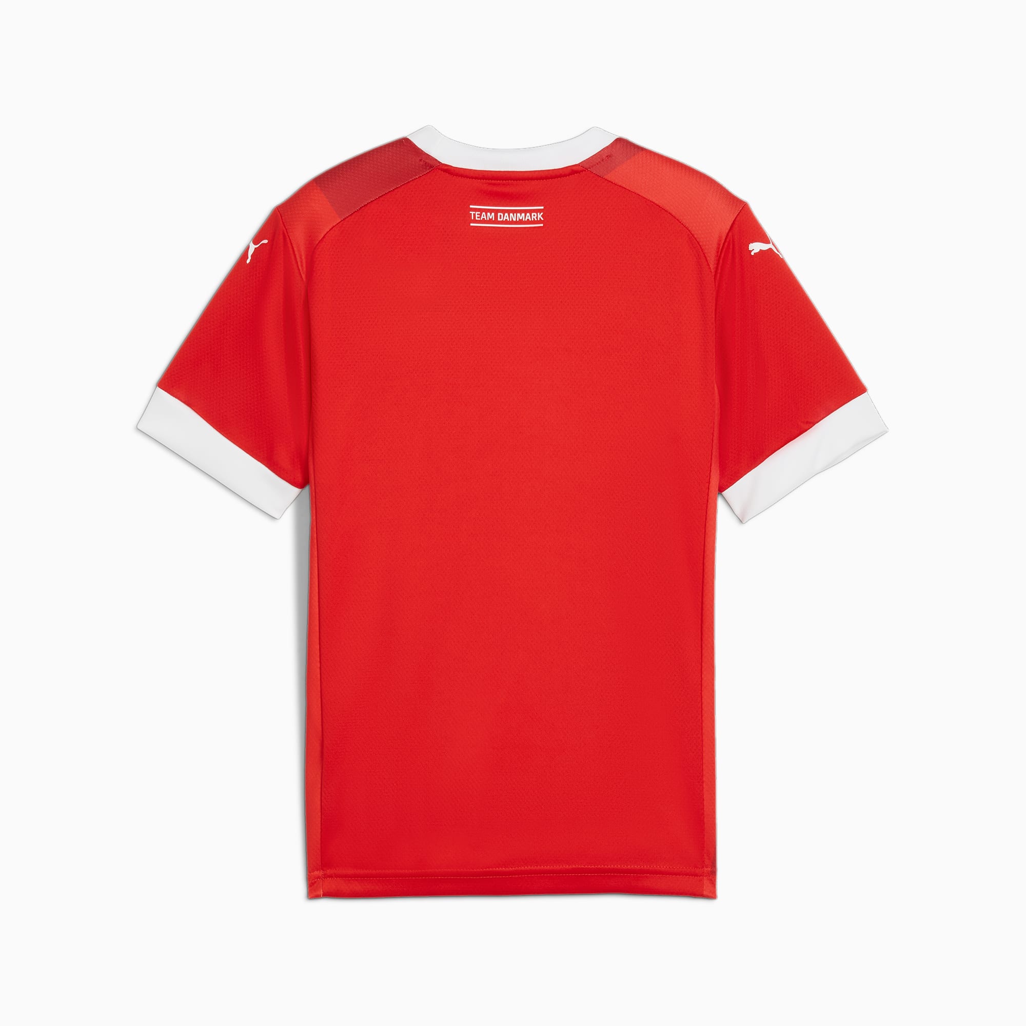 Denmark Handball Youth Home Jersey, PUMA Red-PUMA White, large