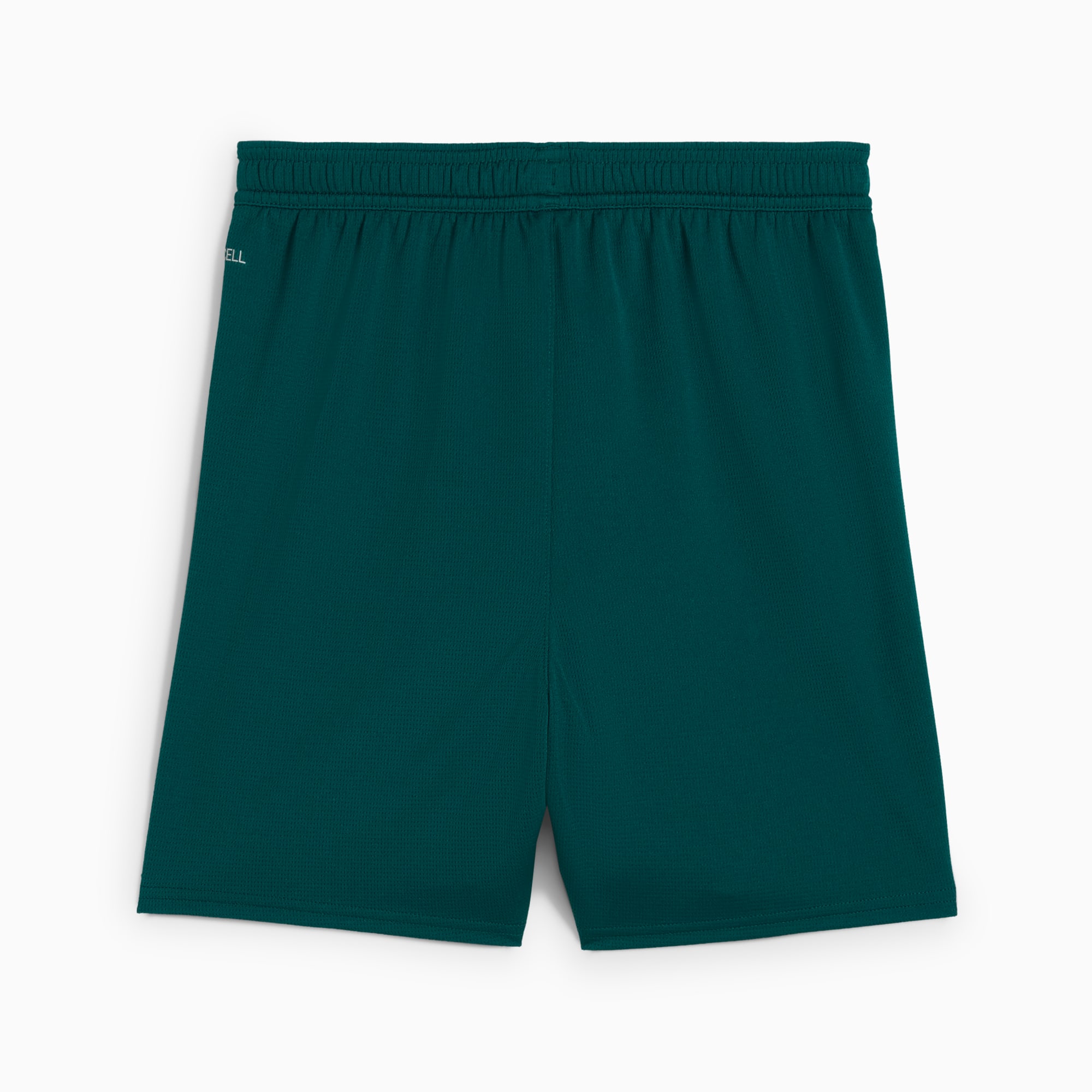 Short 24/25 RC Lens Enfant et Adolescent, Varsity Green-PUMA White, large