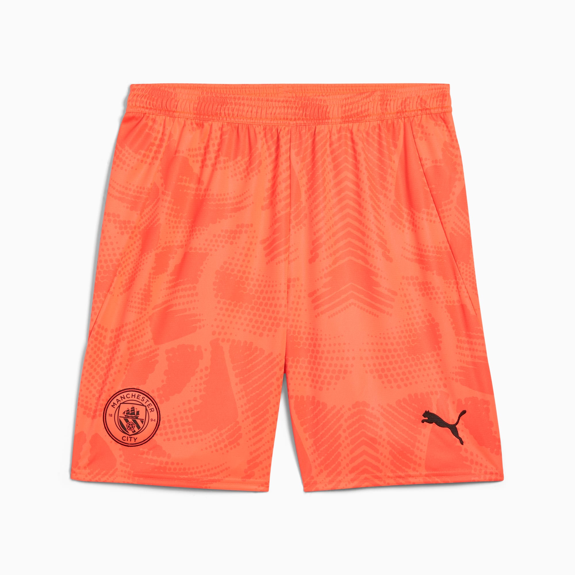 Puma goalkeeper shorts discount