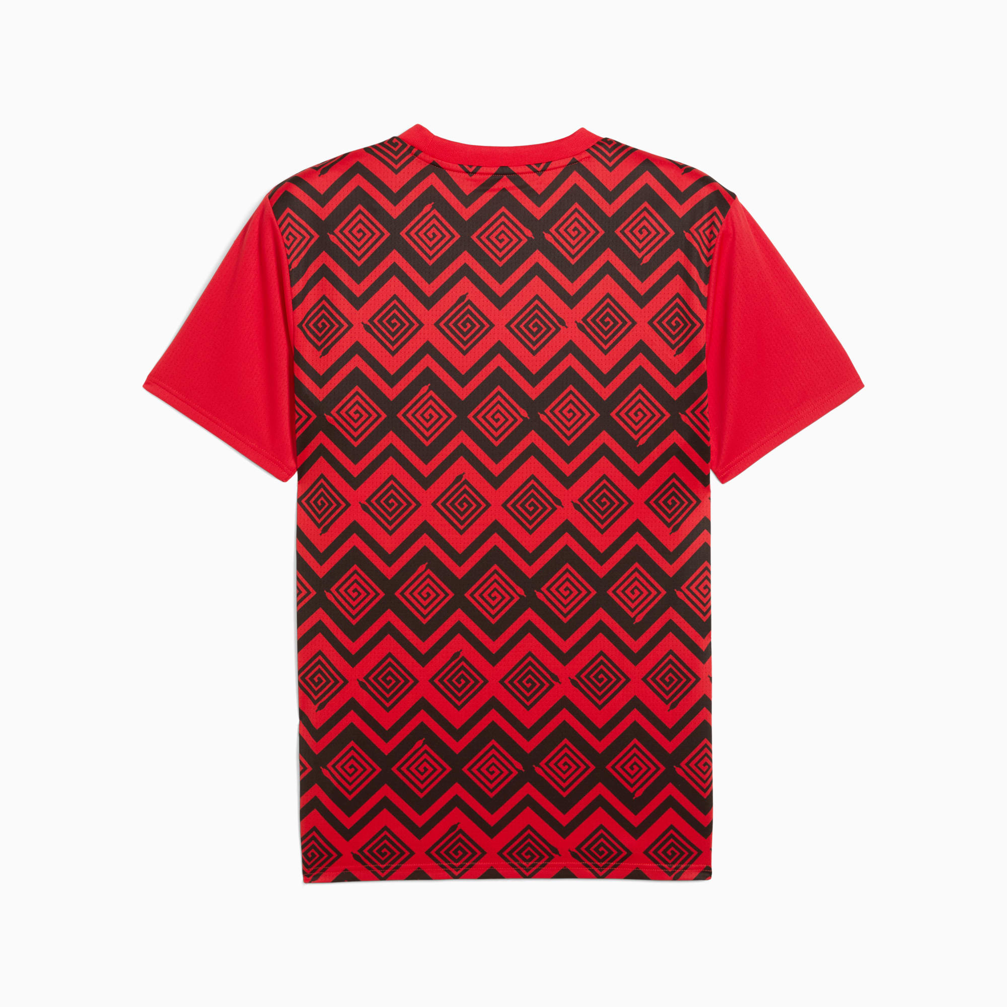 Maillot d avant match Egypte Homme PUMA