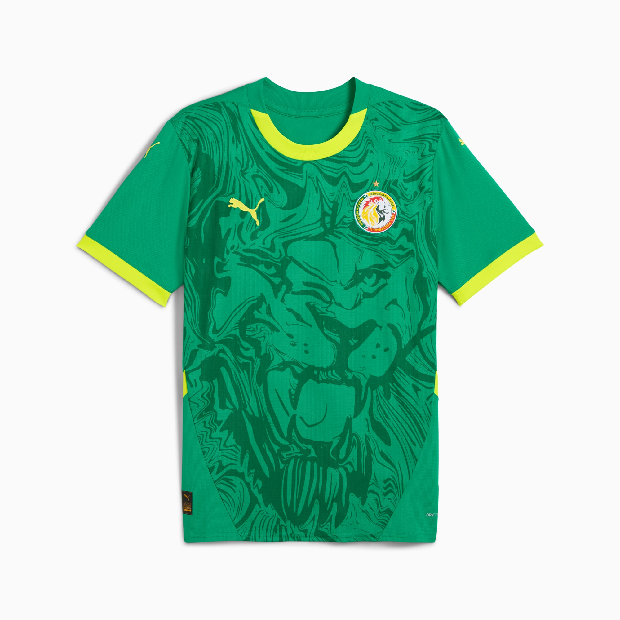 Senegal 2025 Away Jersey Men PUMA