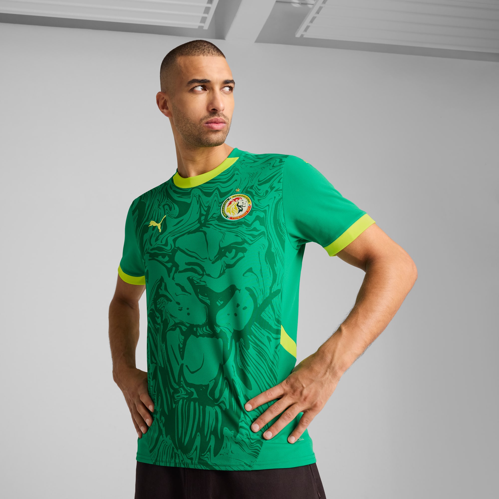 Maglia puma uomo verde online