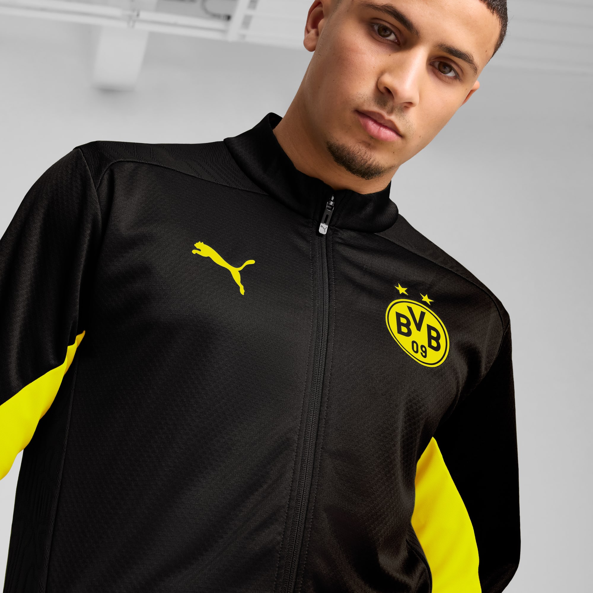 Bvb trainingsjacke herren outlet