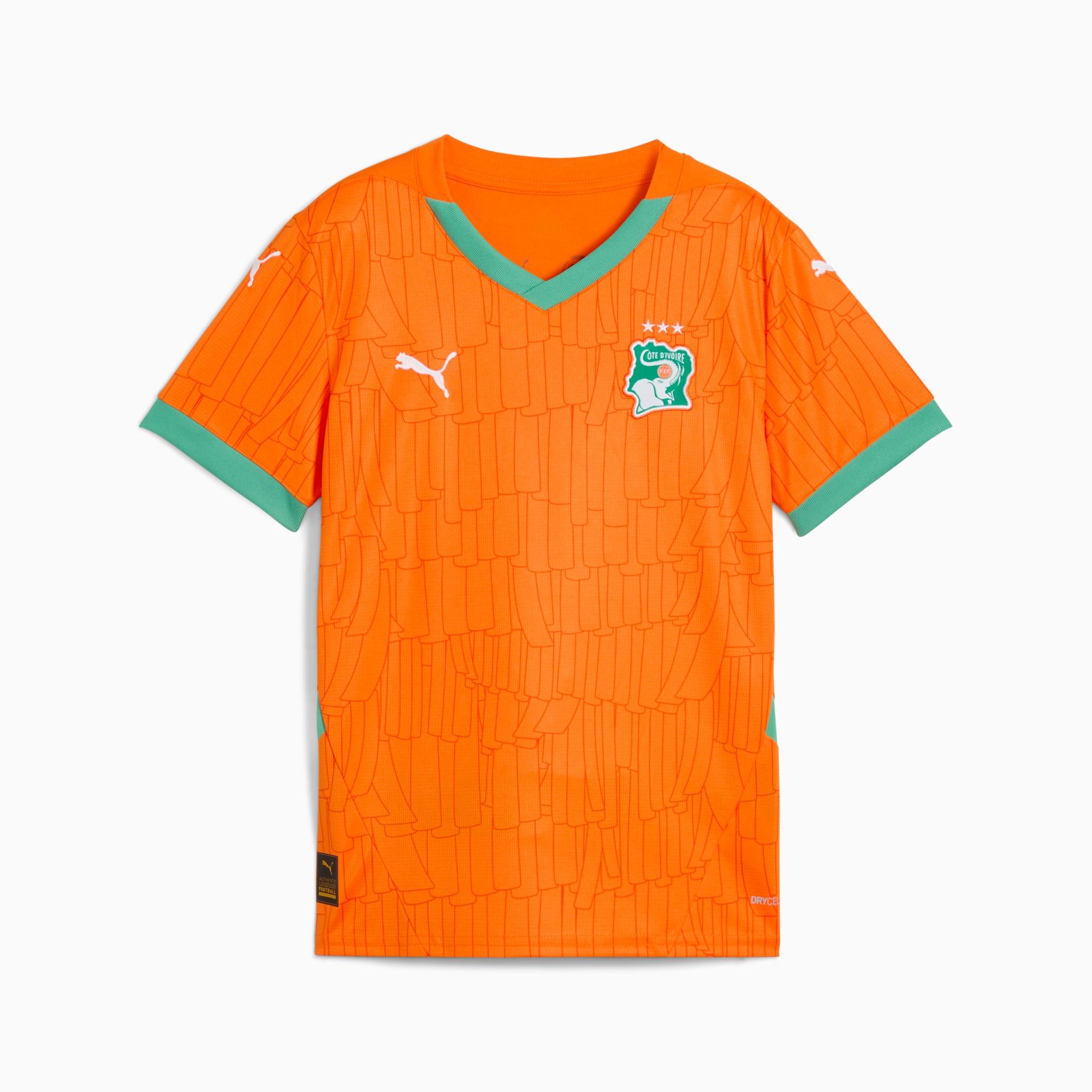 Ivory Coast 2025 Home Jersey Youth PUMA