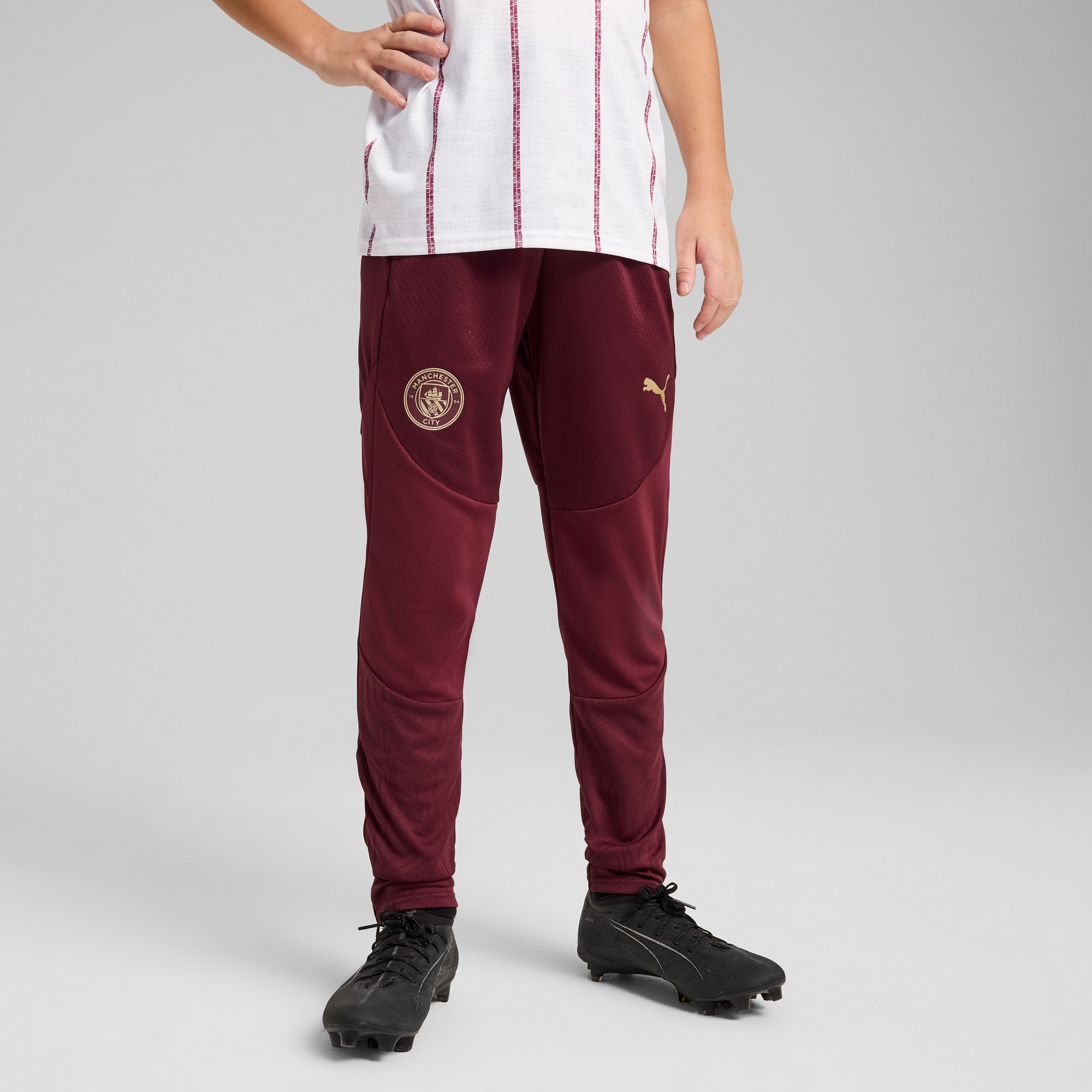 Manchester City Training Pants Youth, Dark Jasper, large