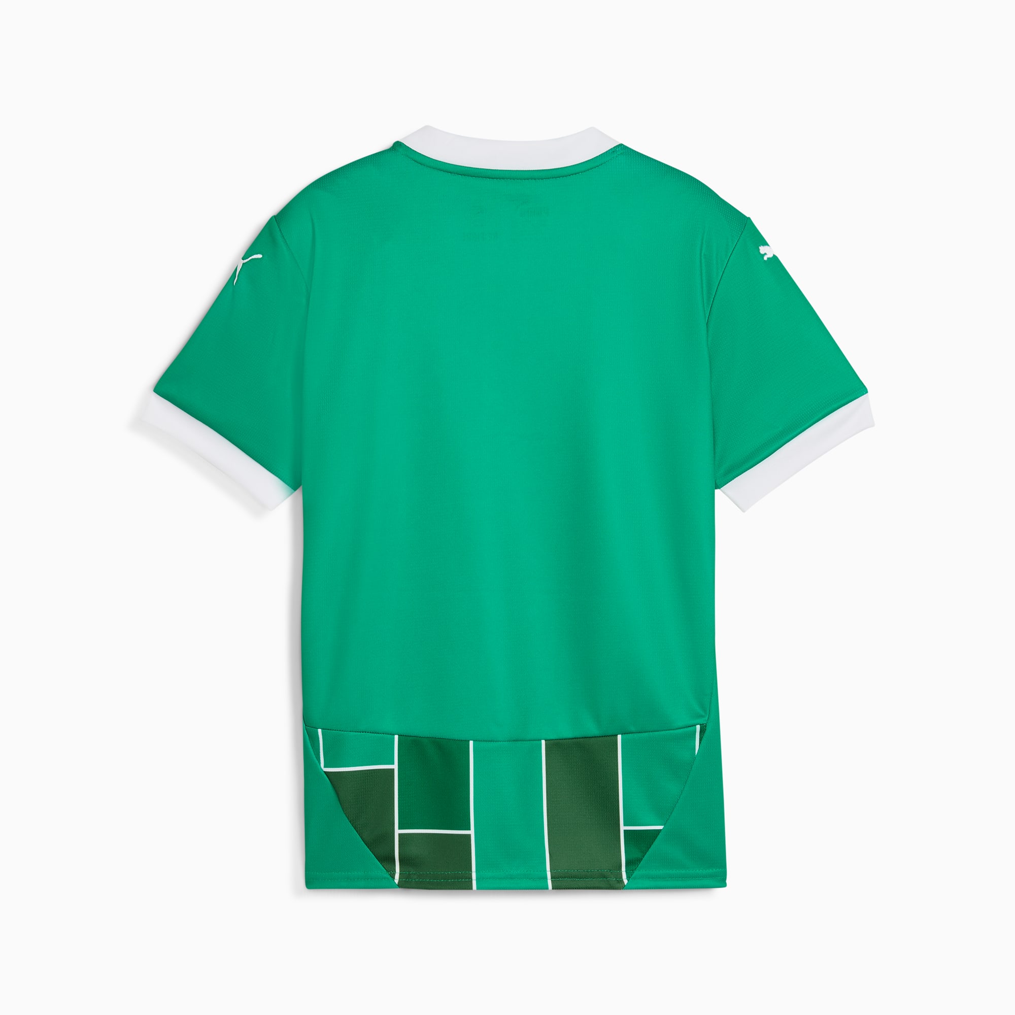 Maillot Home SK Rapid Wien Enfant et Adolescent, Sport Green-PUMA White, large