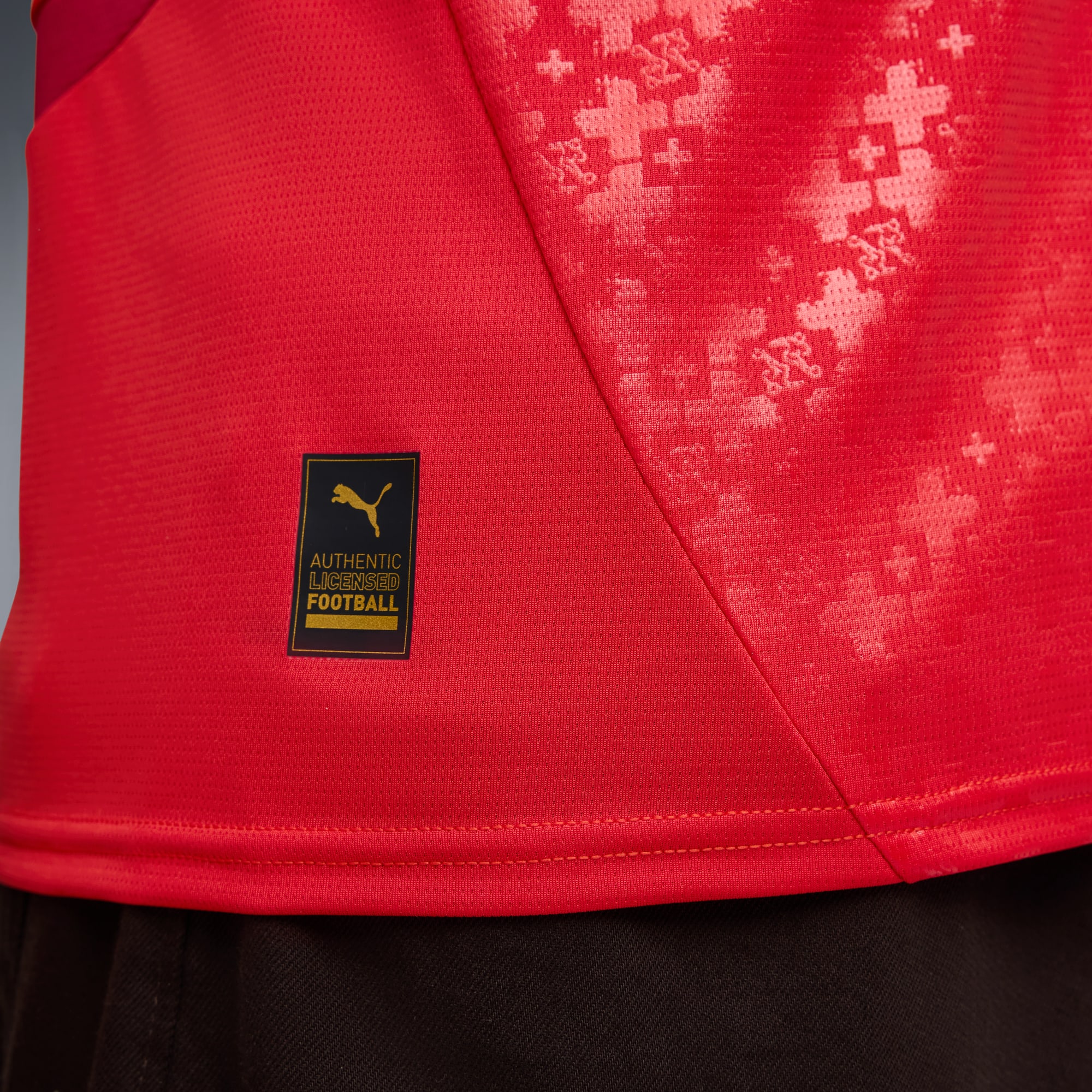 Switzerland Women's Team 2025 Home Jersey Men | PUMA