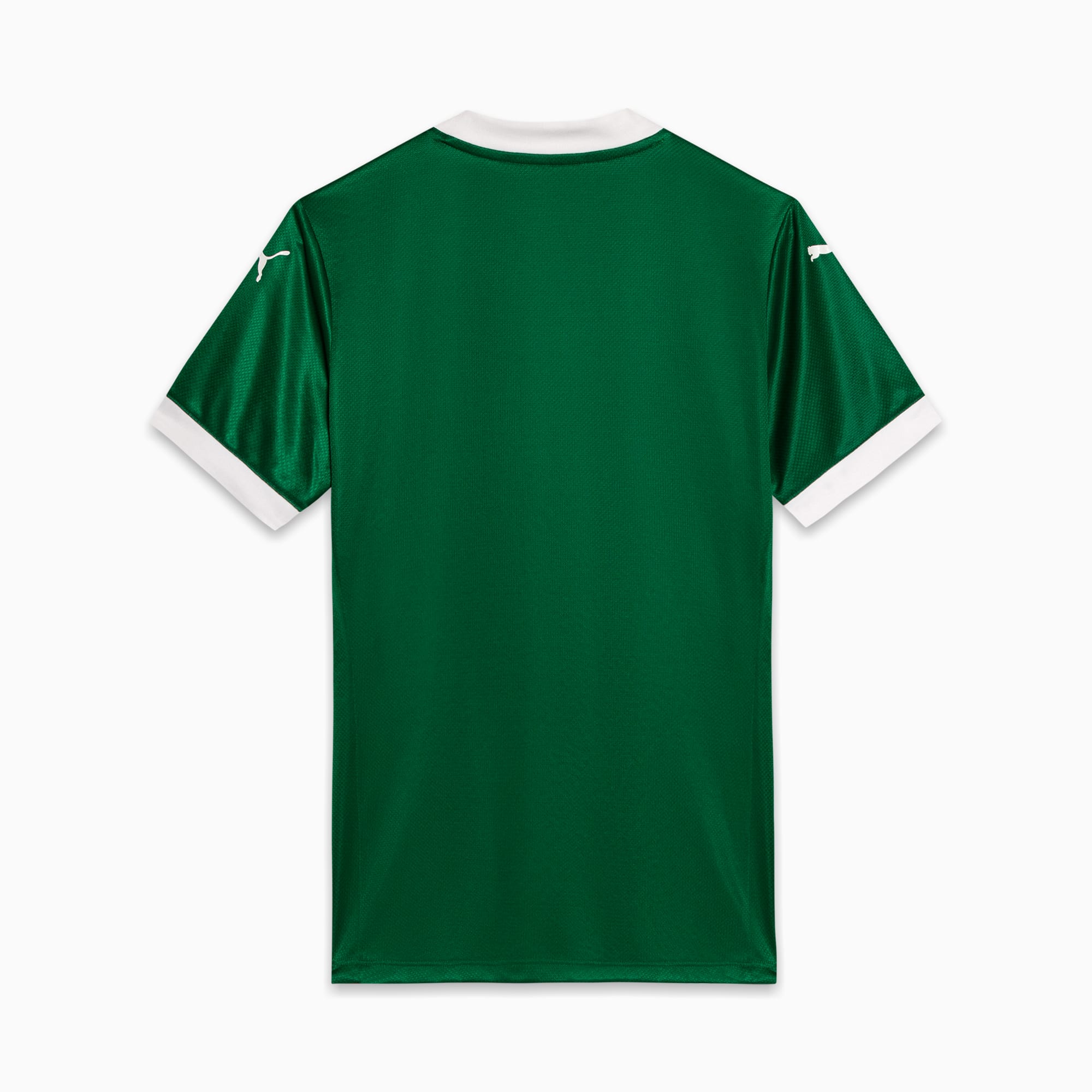 Palmeiras-Jogador-Home-Jsy25-Men