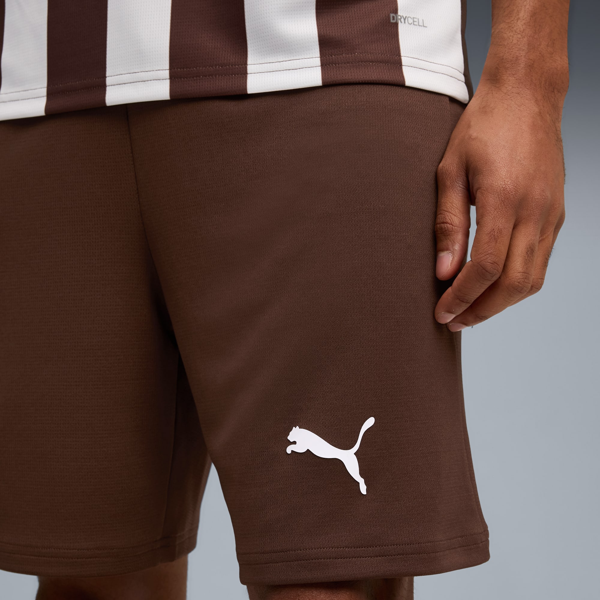 Short 25/26 FC St. Pauli Homme, Espresso Brown, large