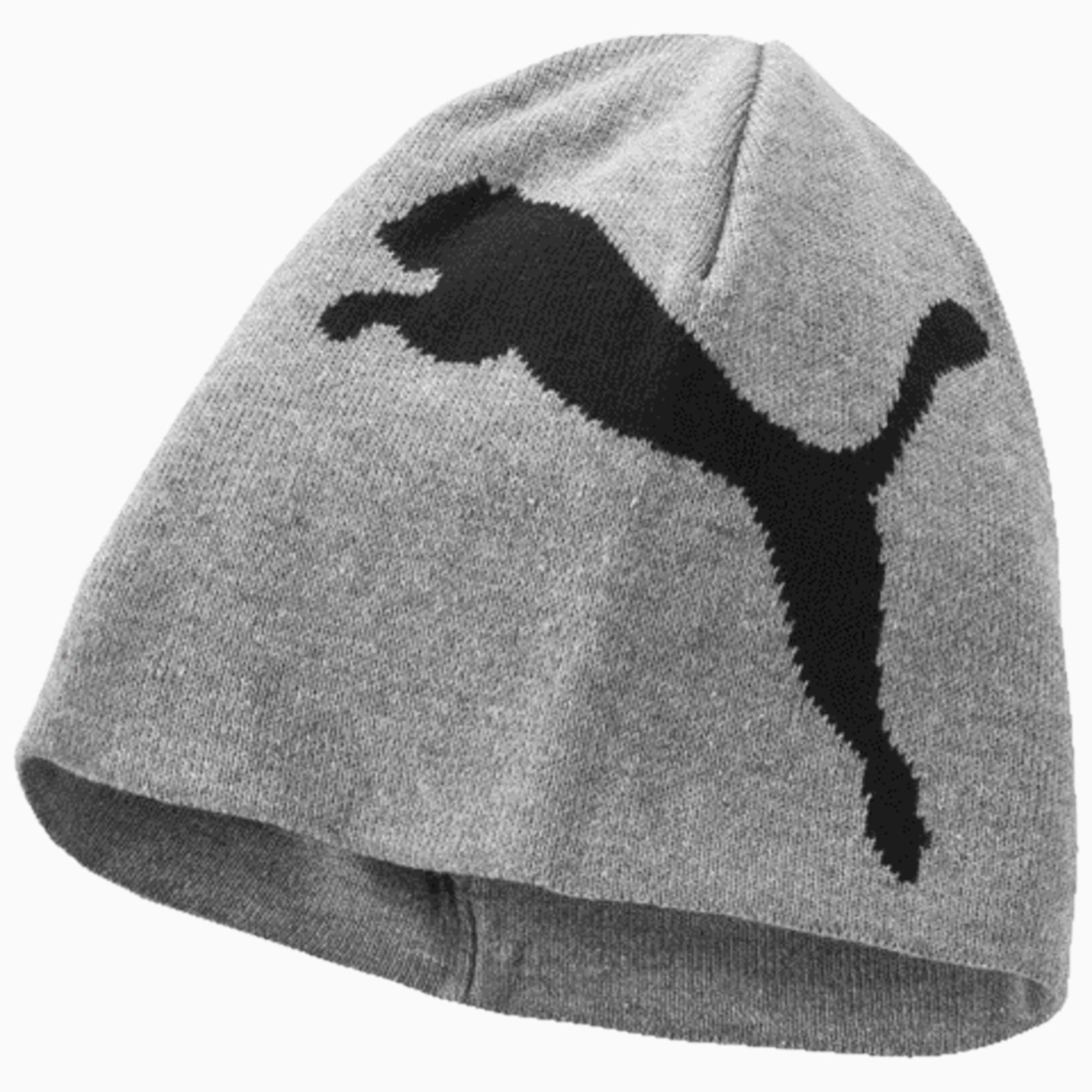 Big Cat/No.1 Logo Beanie | PUMA Shoes